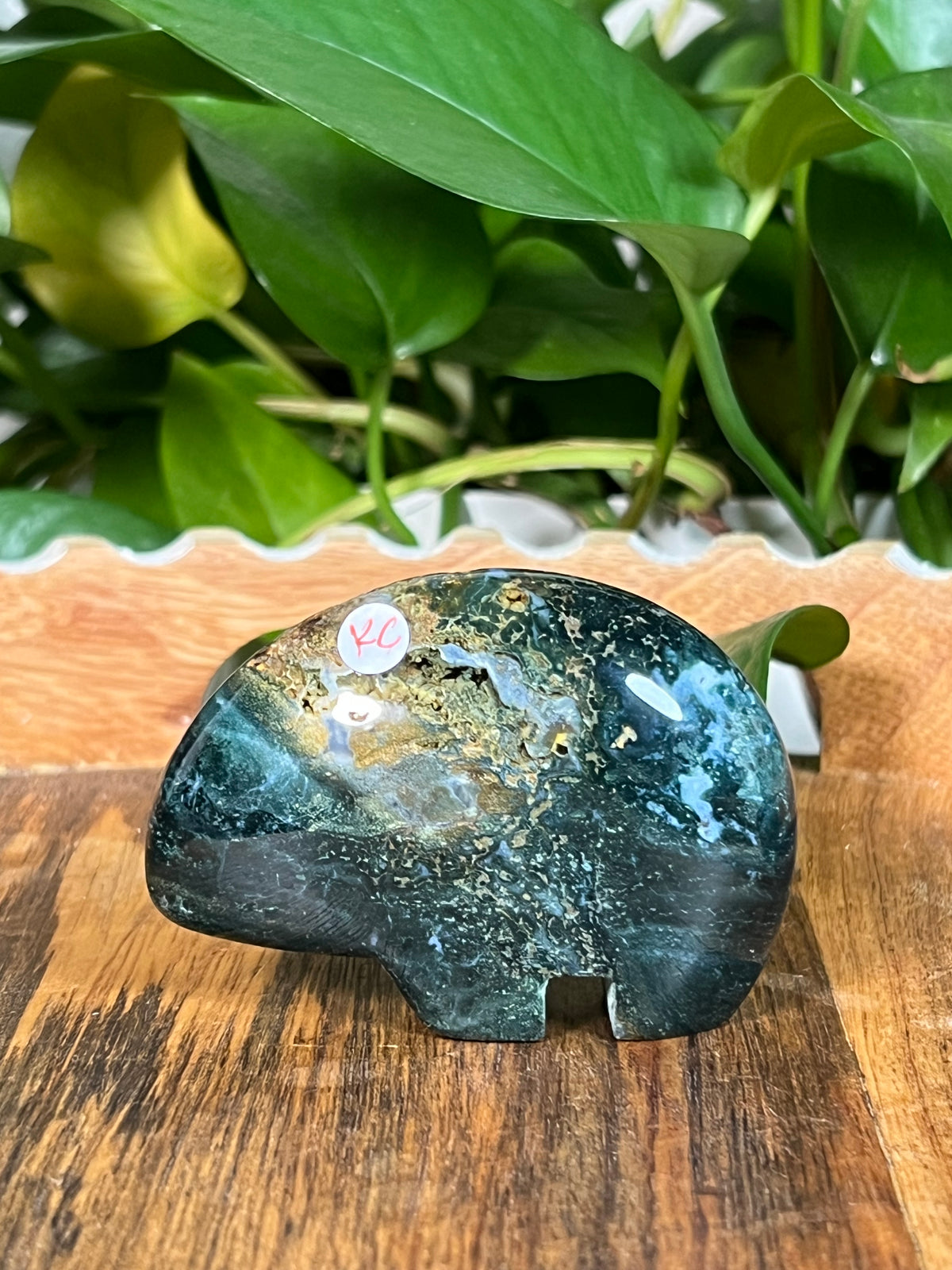 Blue Green Jasper Bears