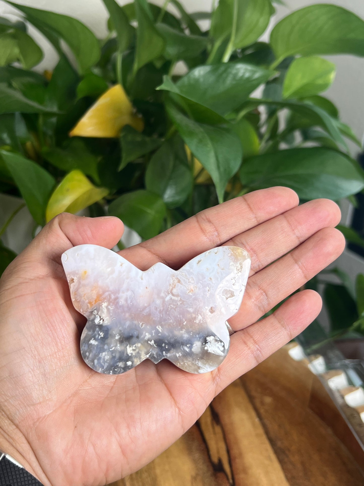 Rainbow Plume Agate Butterfly RQ