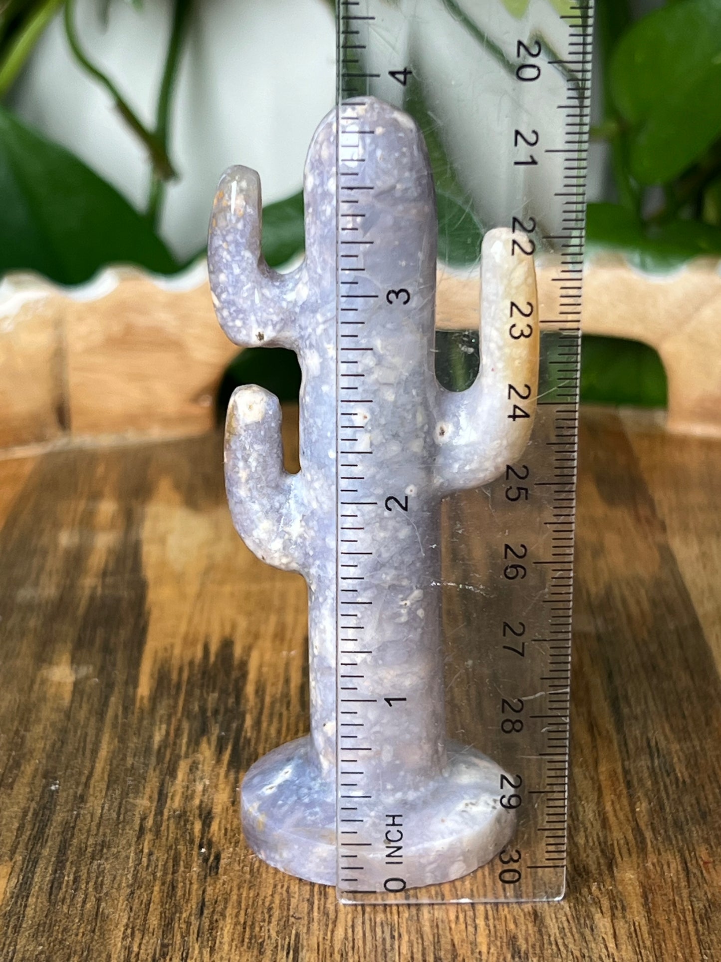 Purple Chalcedony Cactus