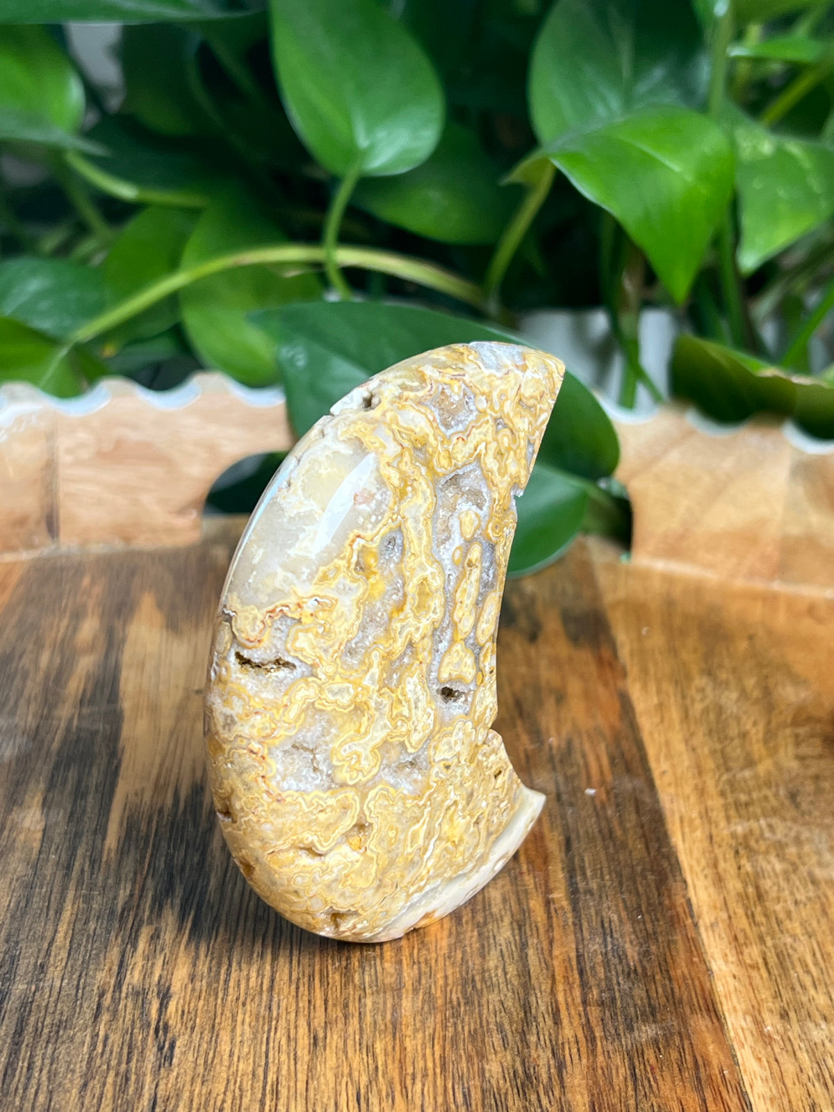 Crazy Lace Agate Self Standing Moon: CC