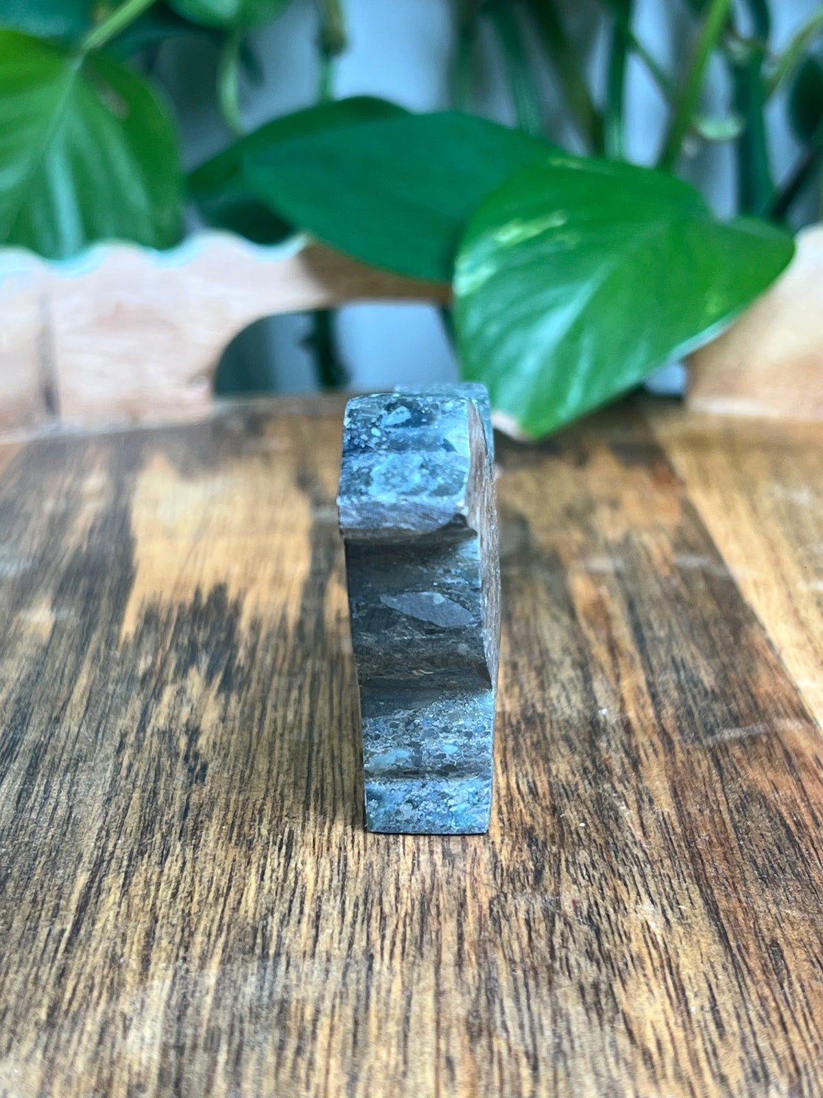 Blue Green Jasper Dog: BK