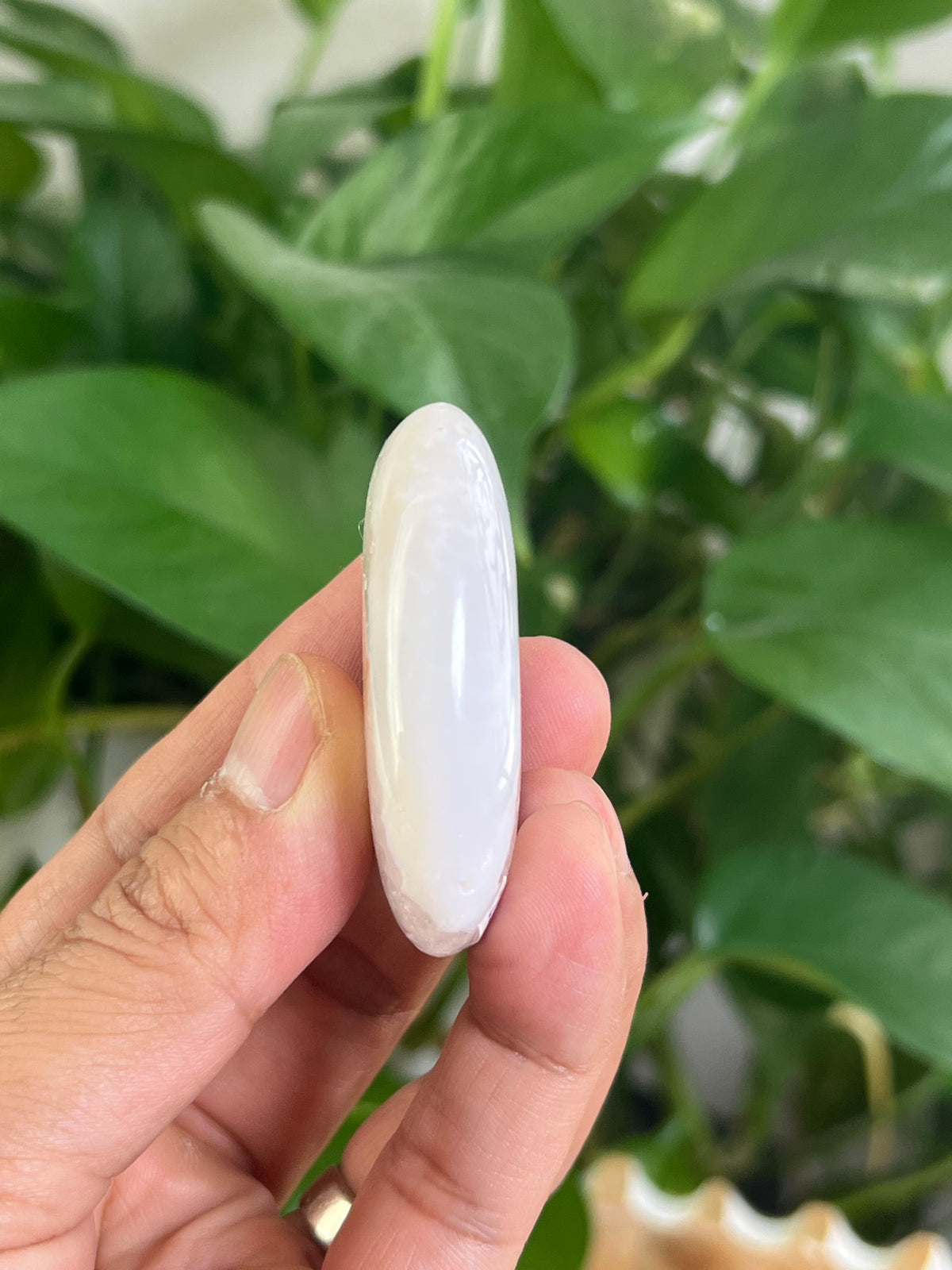 Scenic Moss Agate Palmstone: BE