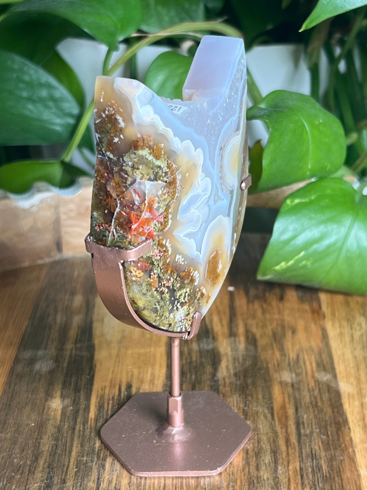 Scenic Moss Agate Cat Head