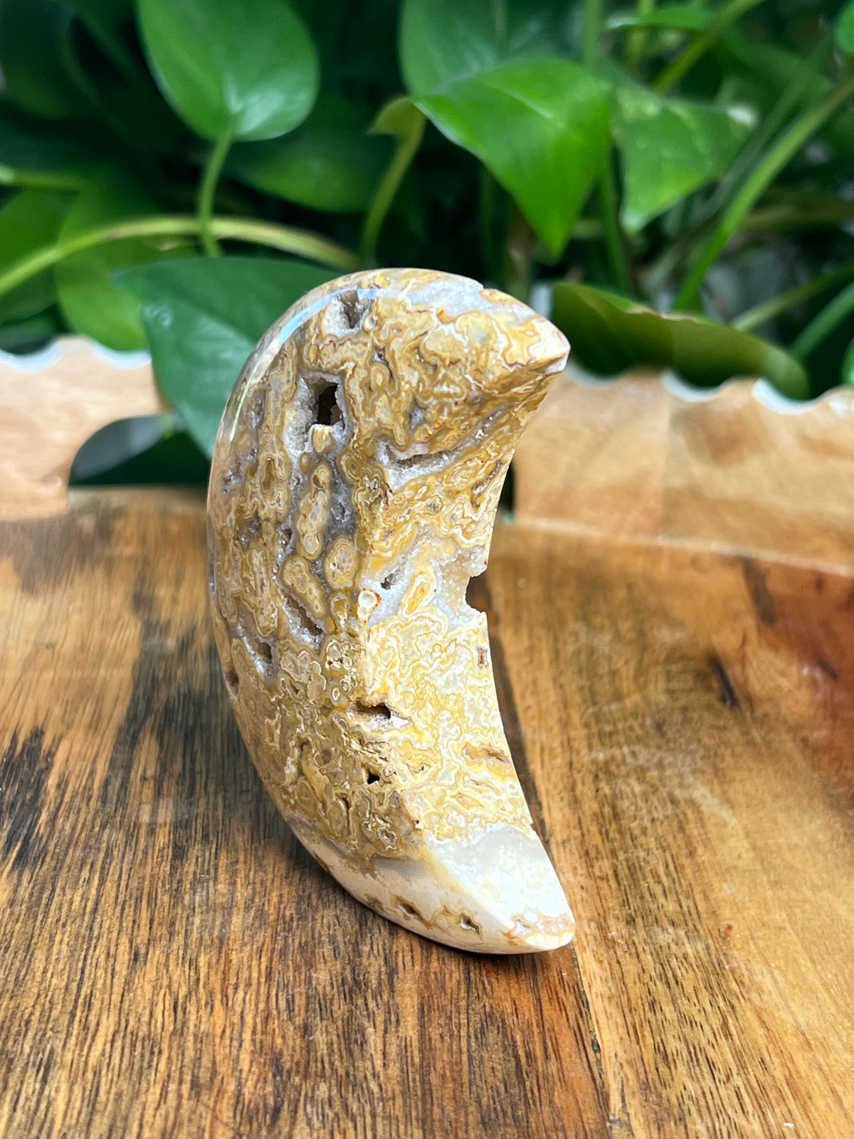 Crazy Lace Agate Self Standing Moon: CC
