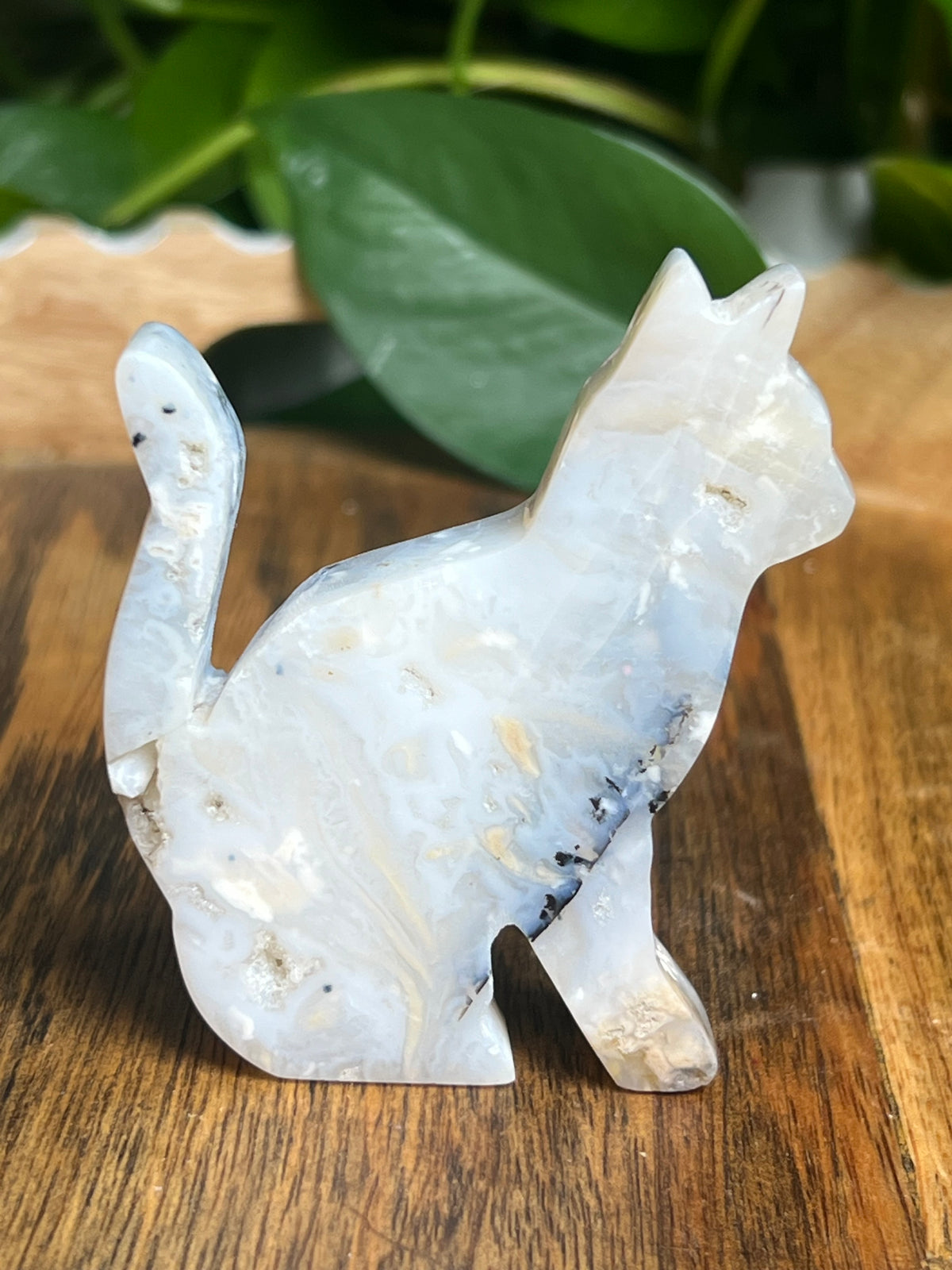 Dendritic Tiger Agate Cat: PB