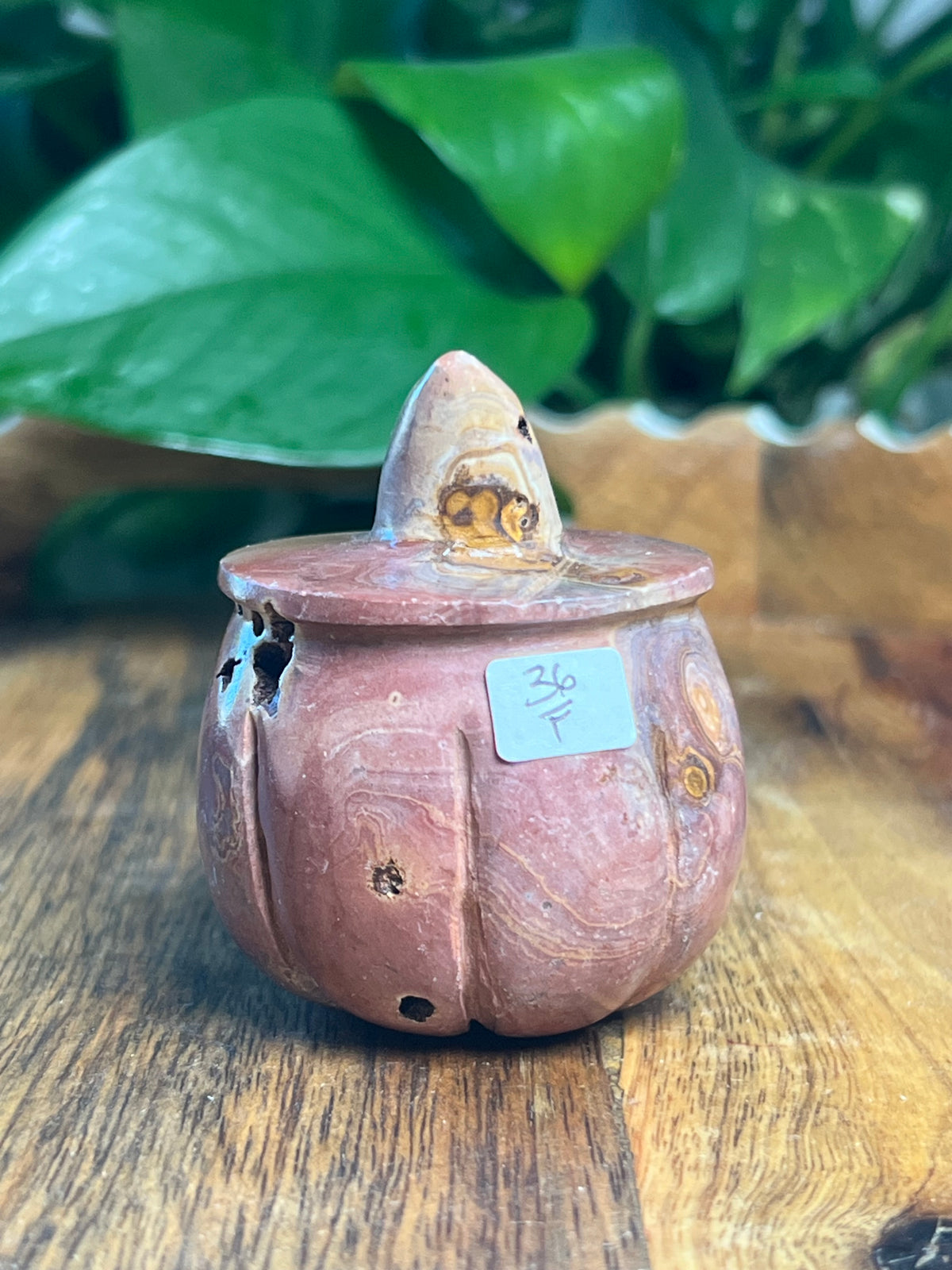 Pink Polycrome Pumpkin: F