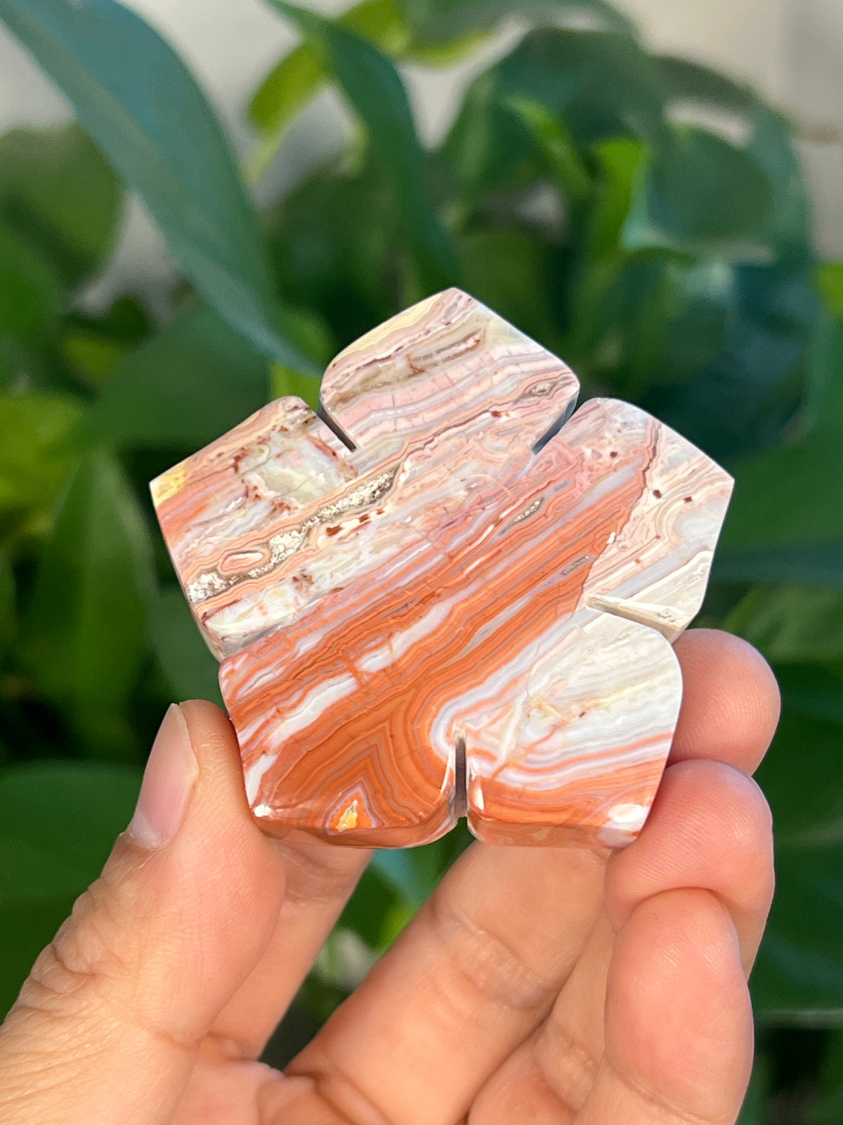 Crazy Lace Agate Flowers