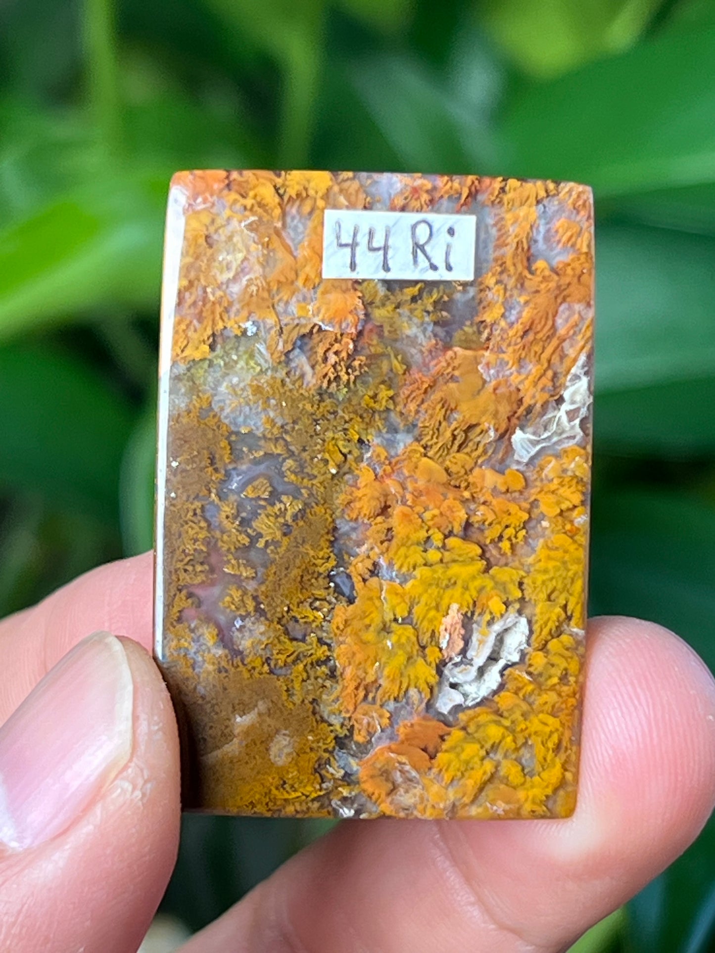 Scenic Moss Agate Cabochon