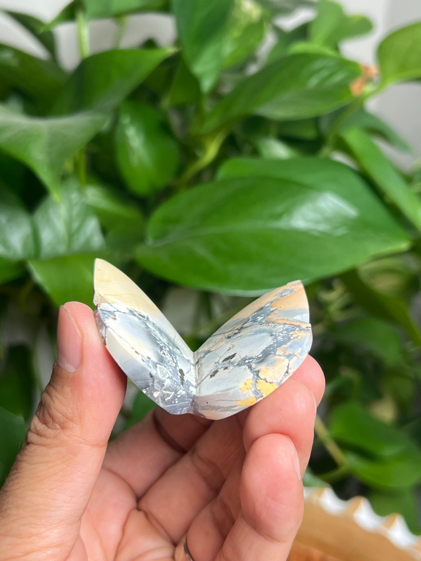 Maligano 3D Butterfly: AC