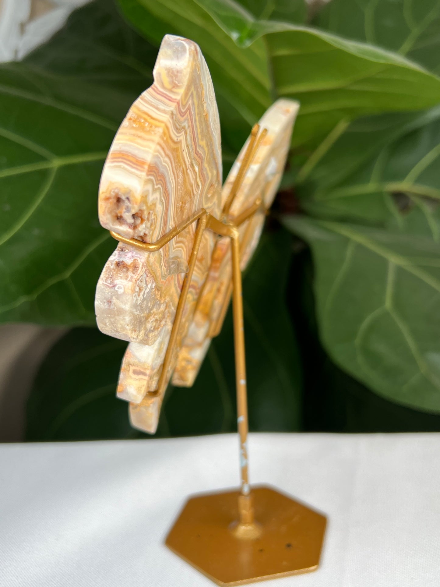 Crazy Lace Agate Wings