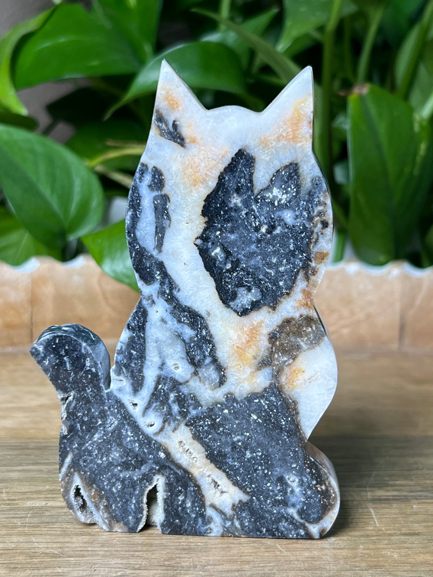 Sphalerite Cat