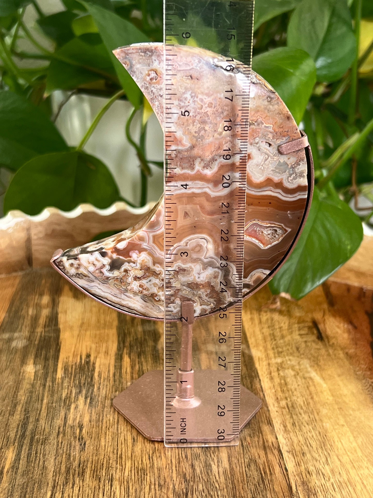 Crazy Lace Agate Moon PS