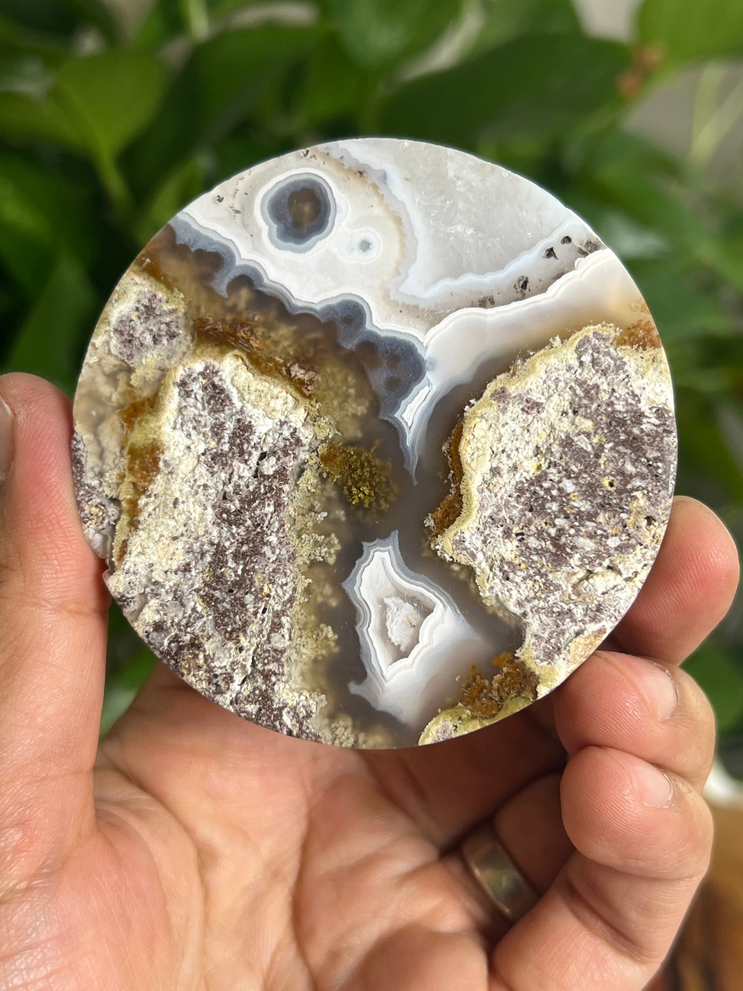 Scenic Moss Agate Coaster: AS
