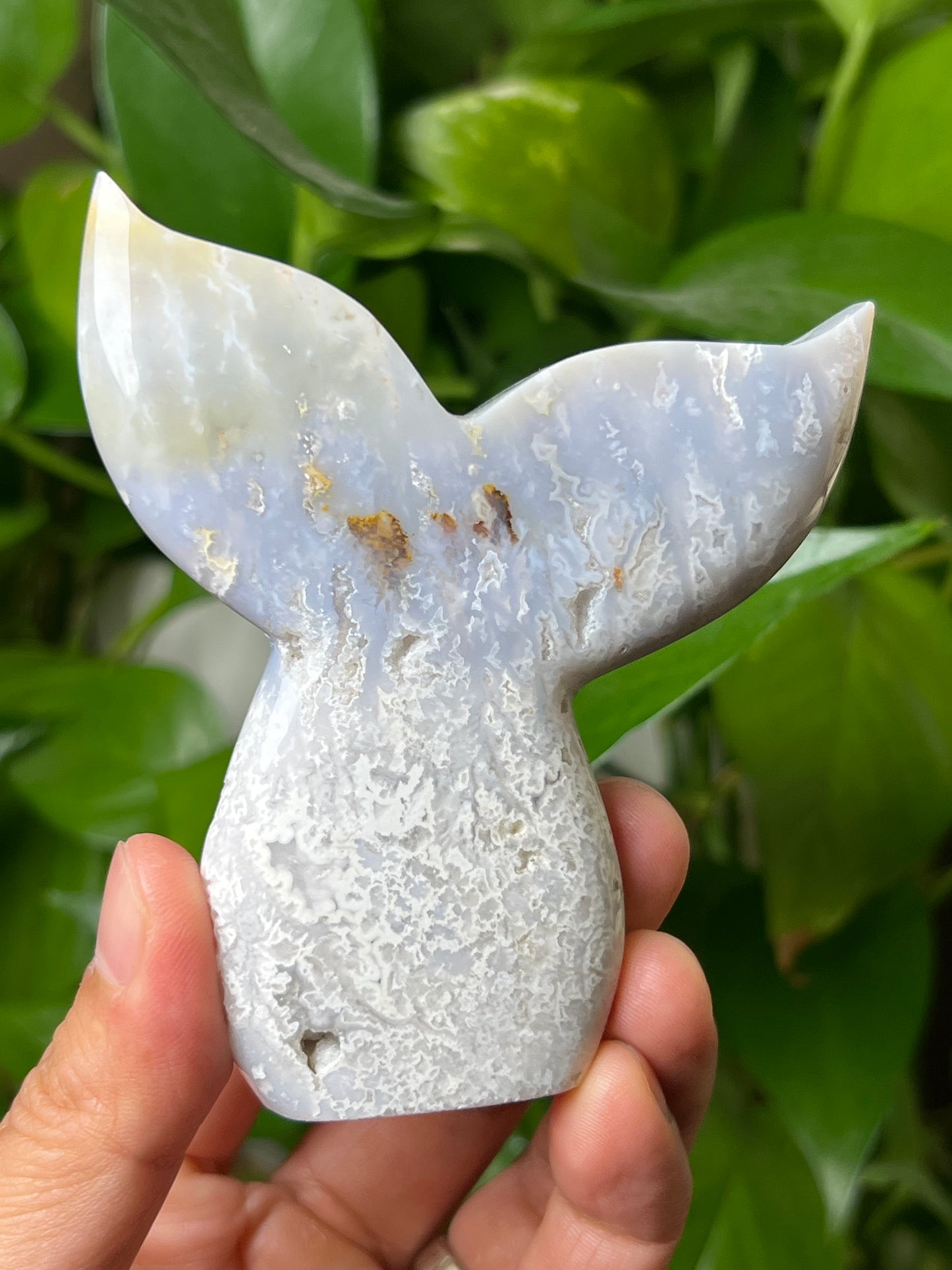 Winter Plume Agate Tail