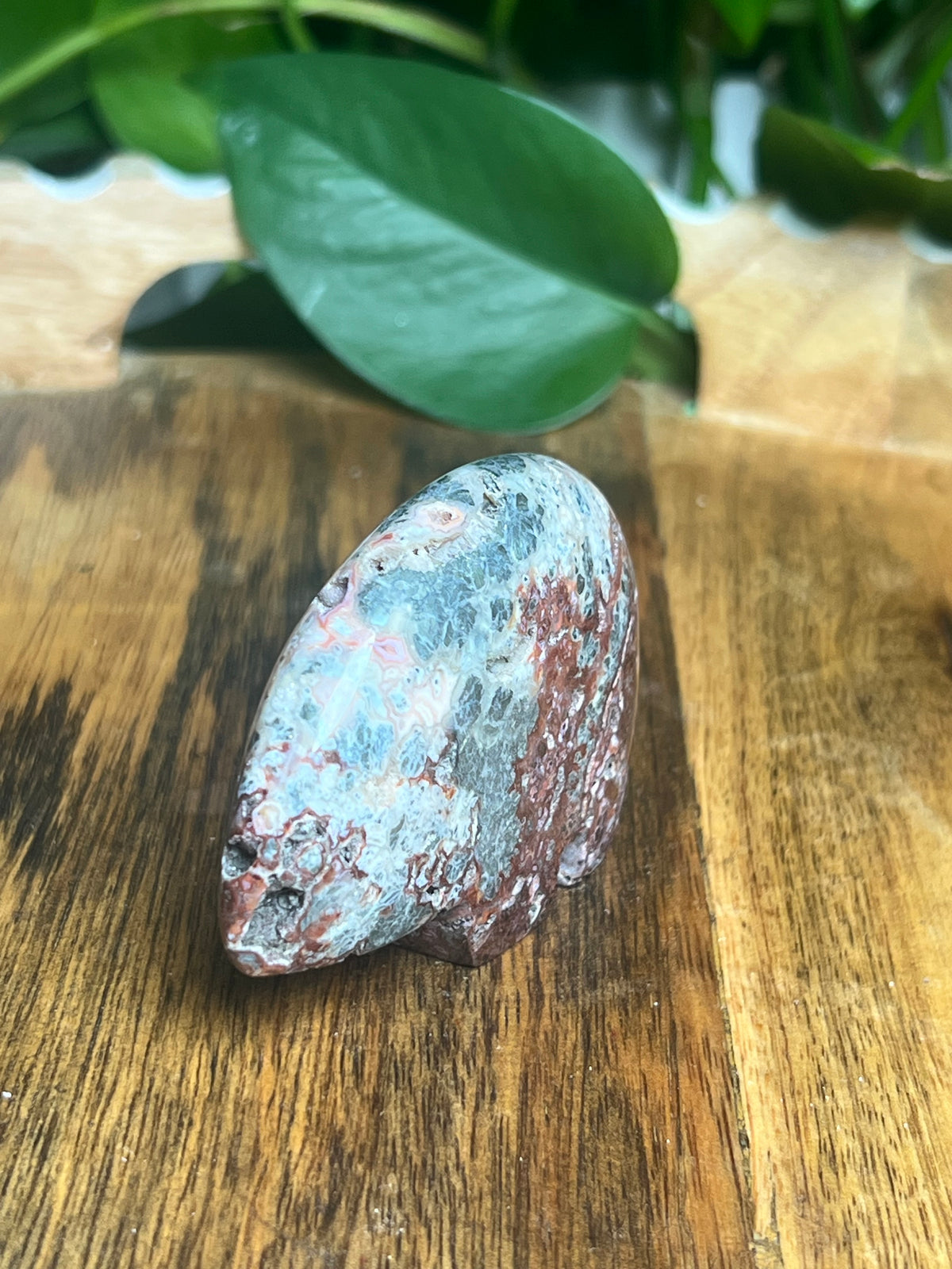 Marcasite Bear: TZ