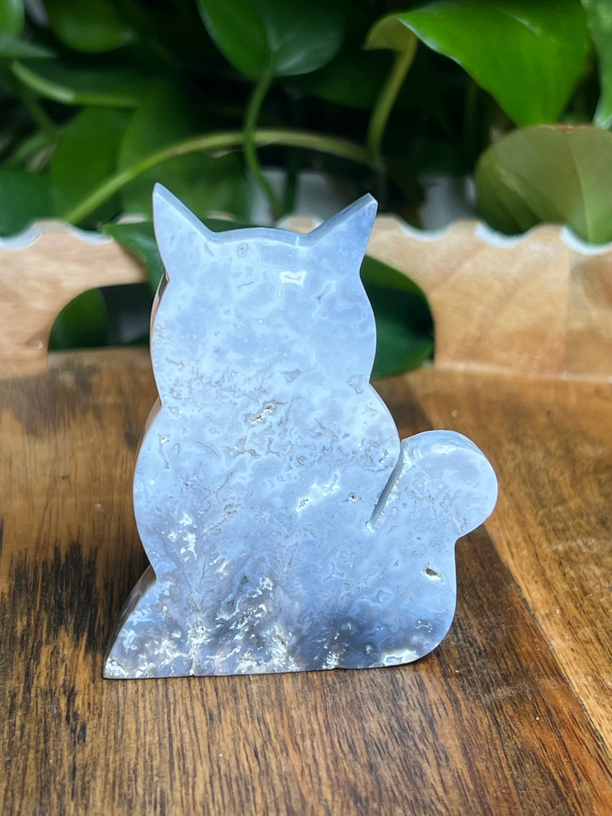 Blue Plume Agate Cat: BK