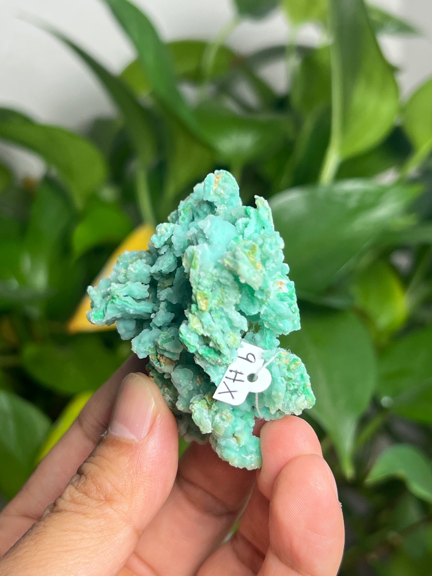 Smithsonite Specimen HX