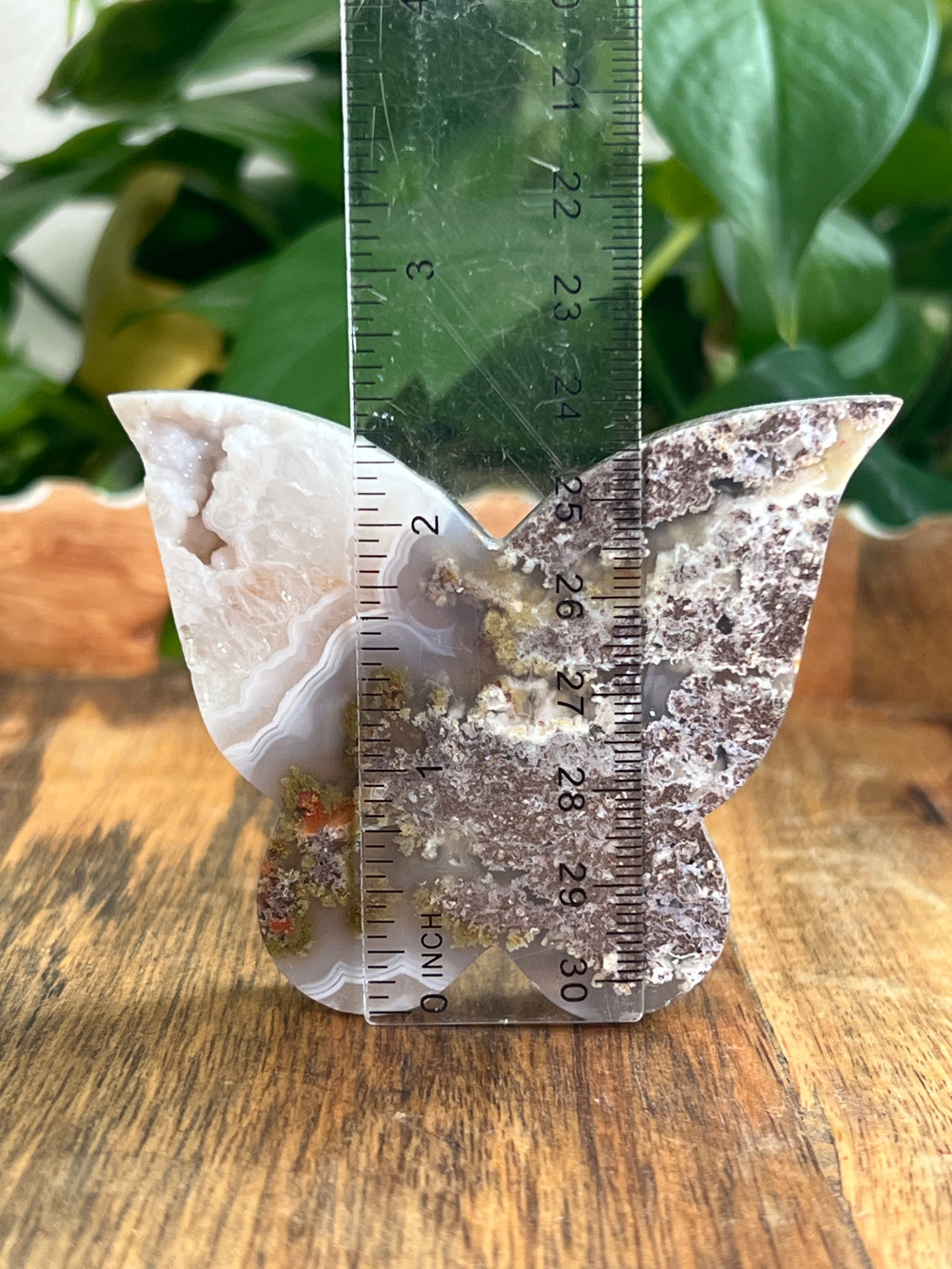 Scenic Moss Agate Butterfly: NS