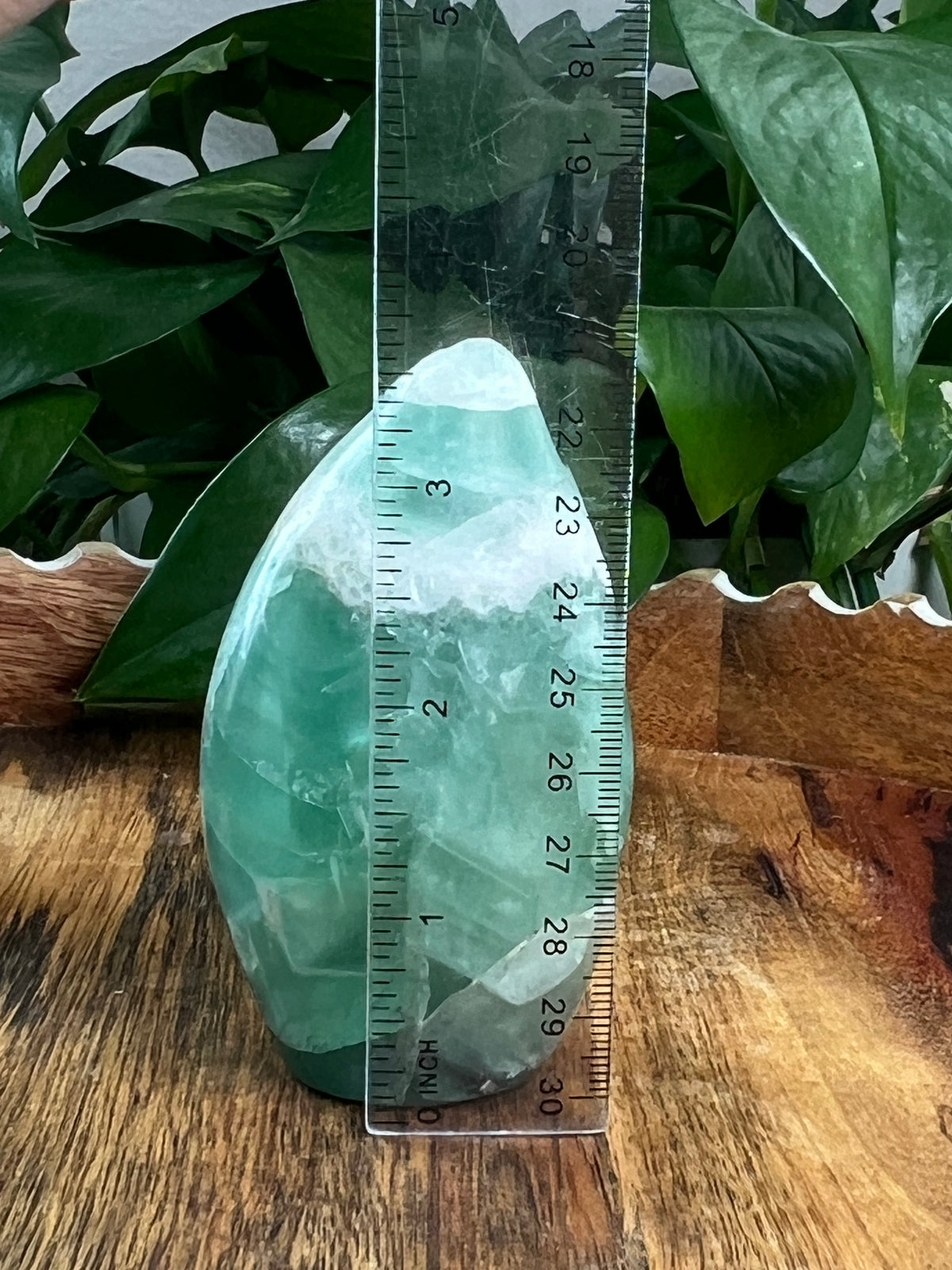 Mexican Flourite Freeform: AE
