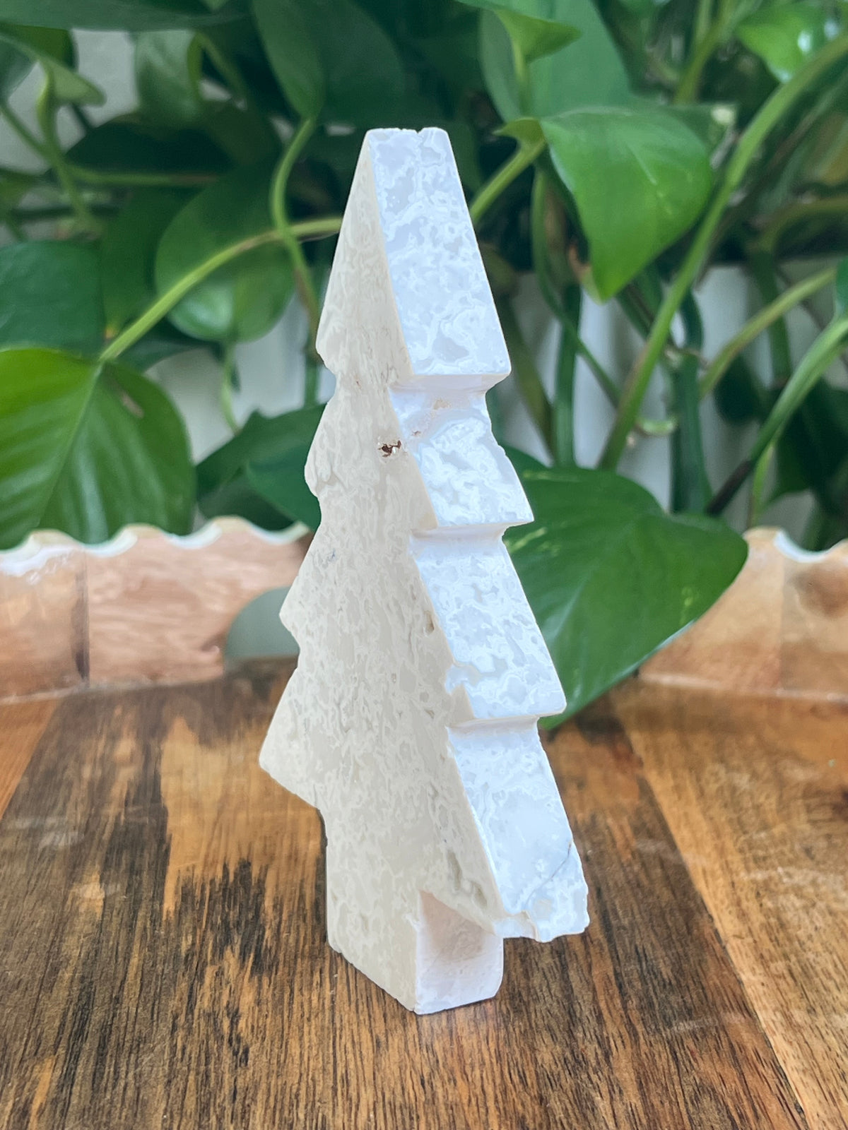 White Plume Agate Tree: DC