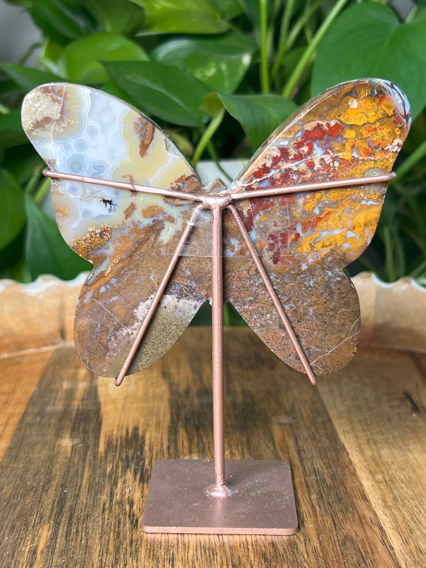 Scenic Moss Agate Butterfly