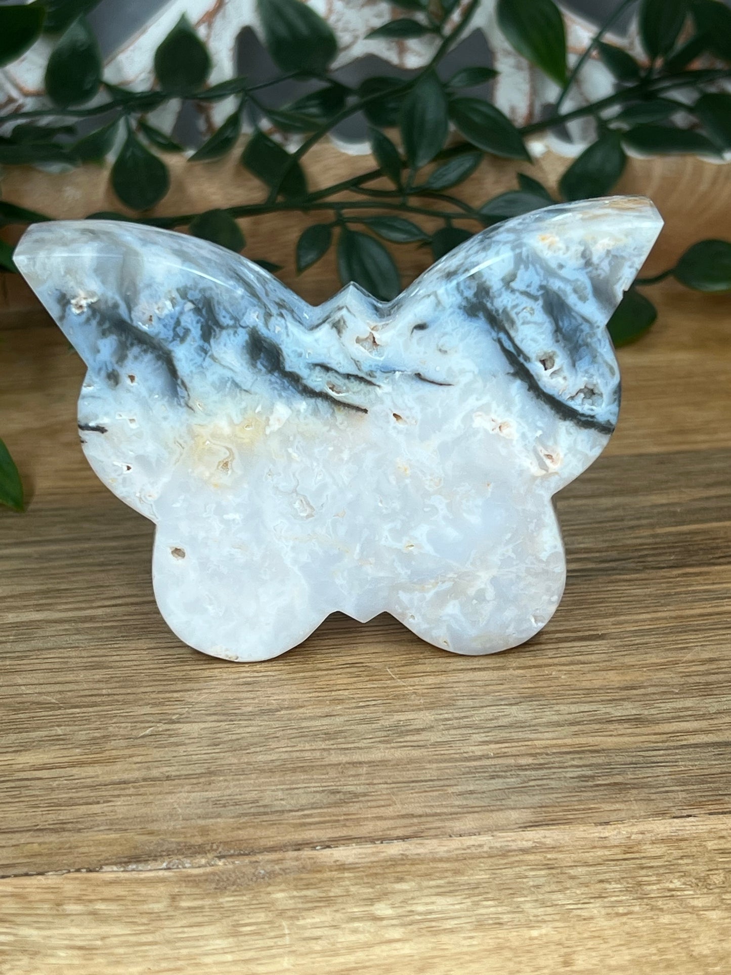 Rainbow Plume Agate Butterfly