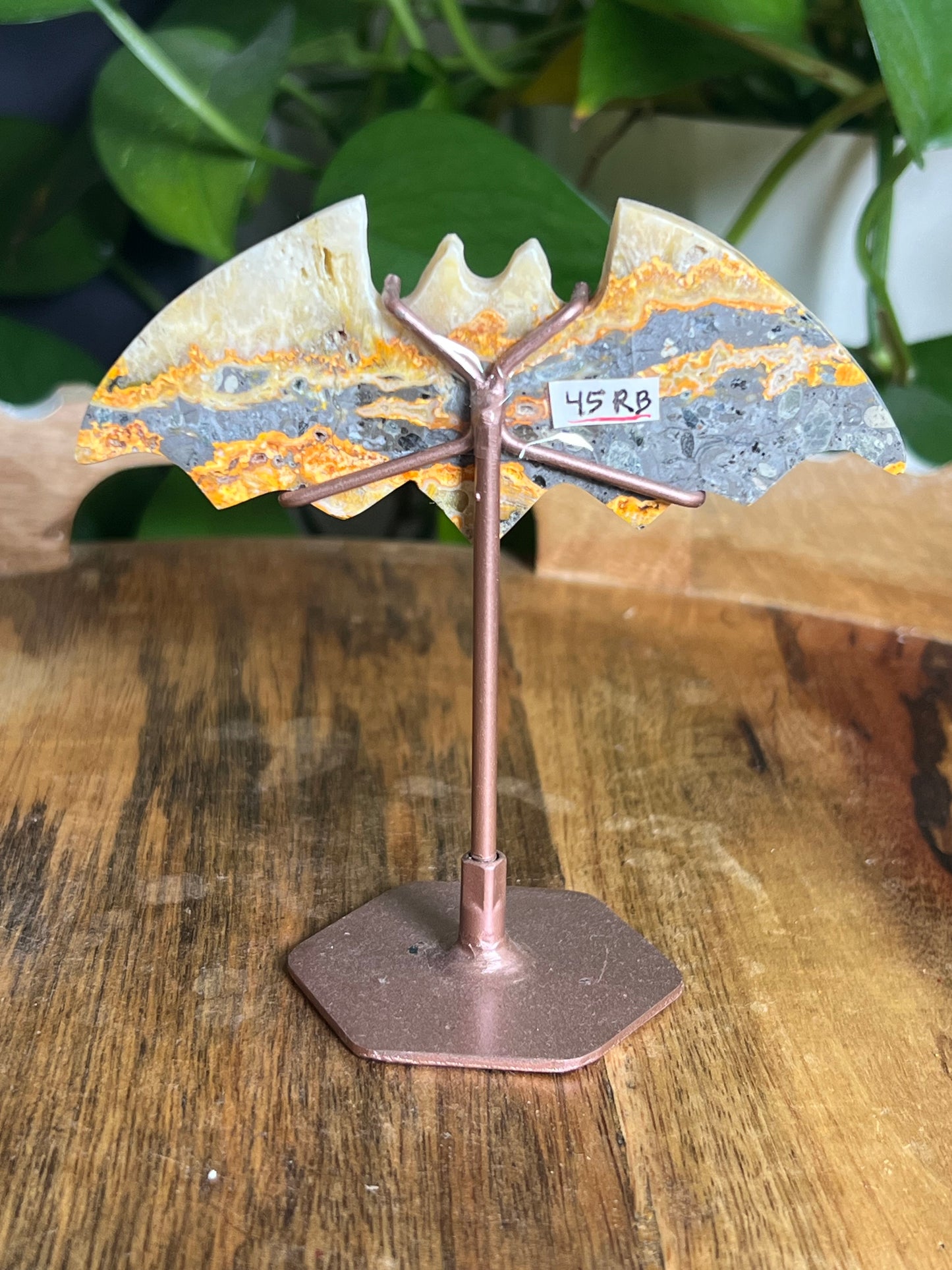 Bumblebee Jasper Bat