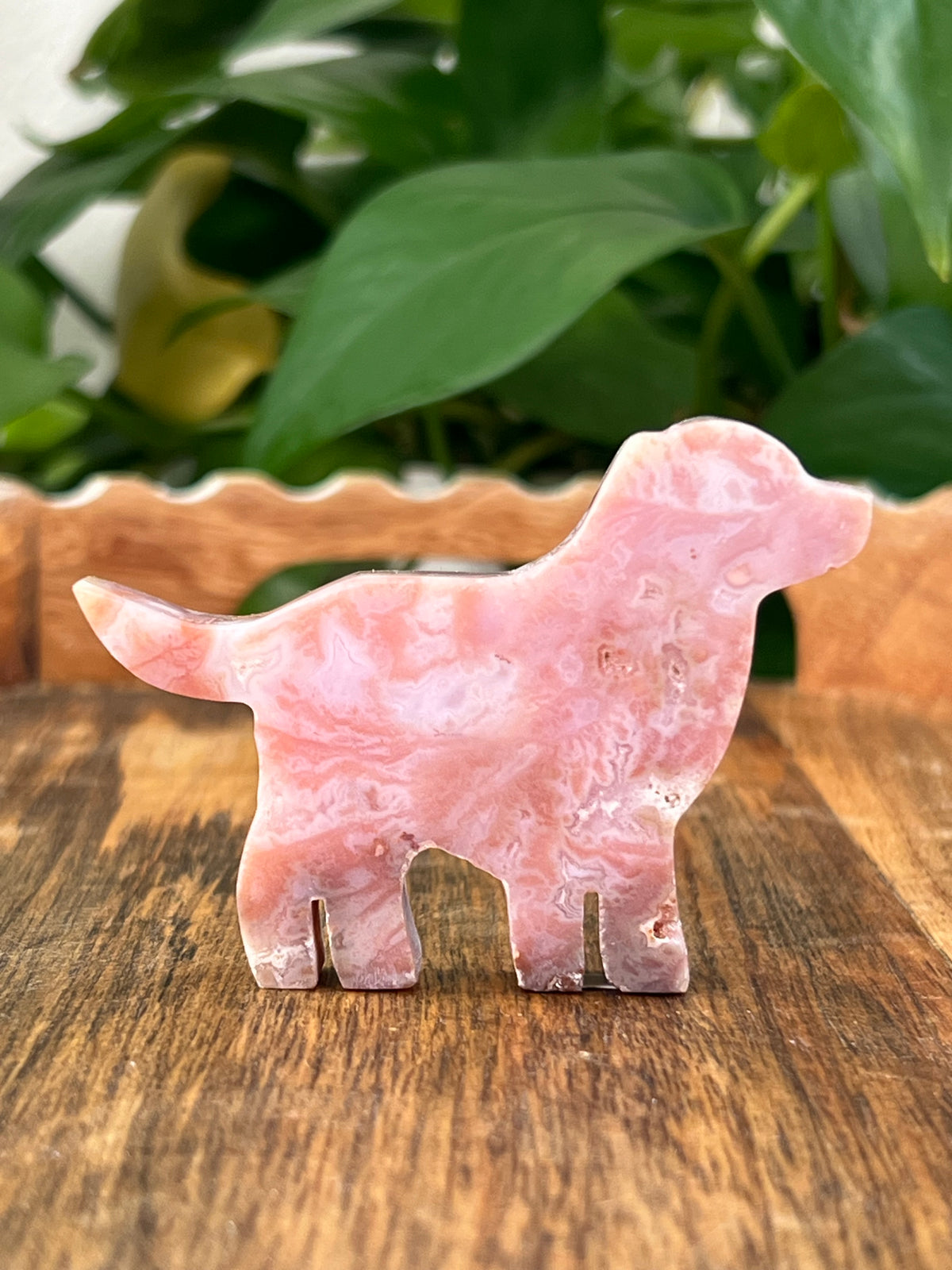 Pink Carnelian Dogs