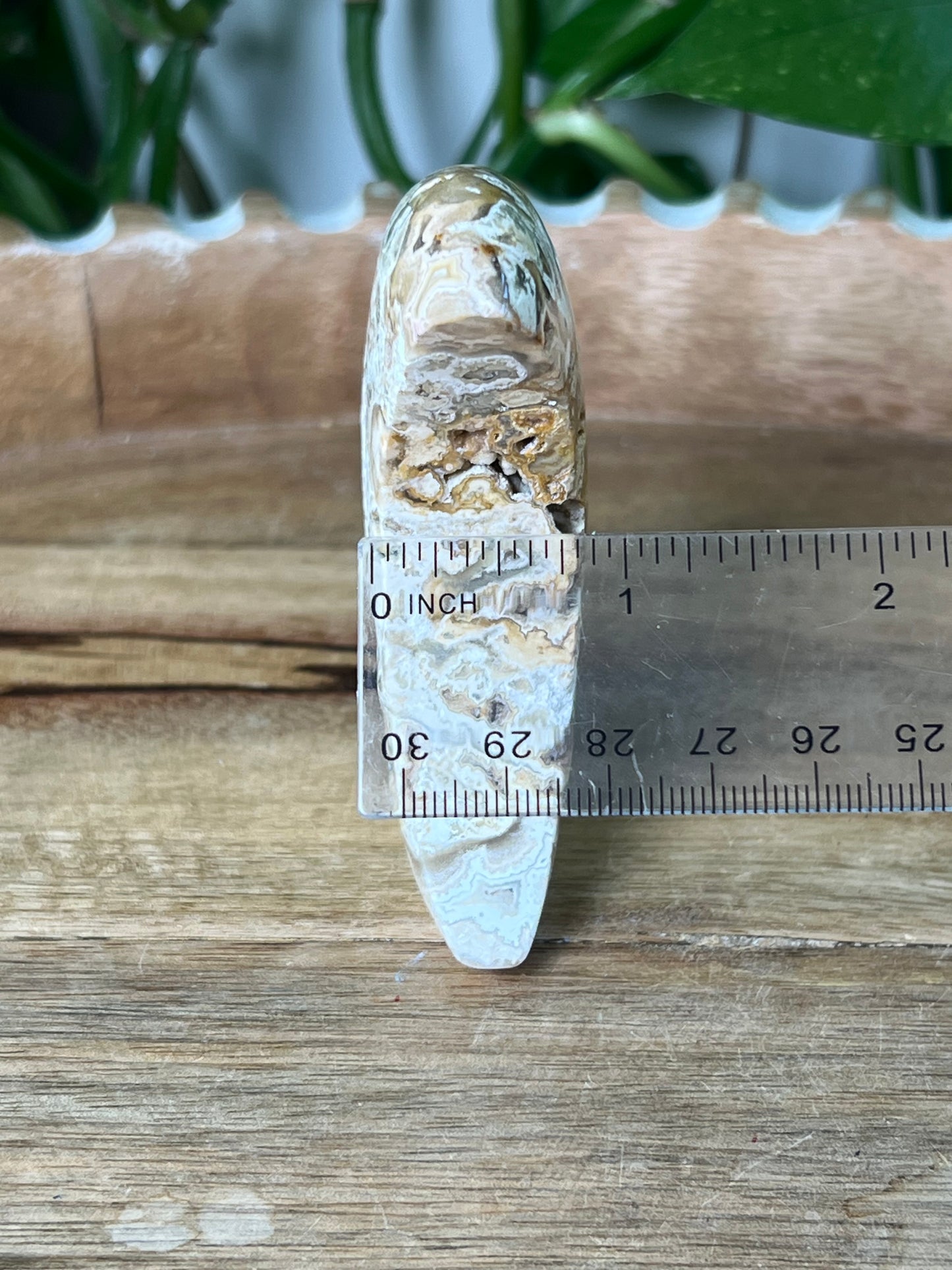 Crazy Lace Agate Moon