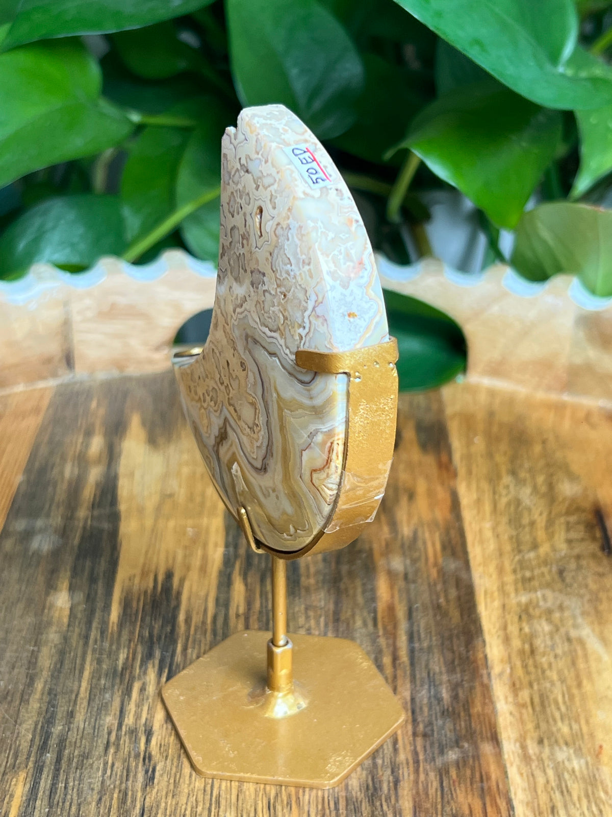 Yellow Crazy Lace Agate Moon: ED