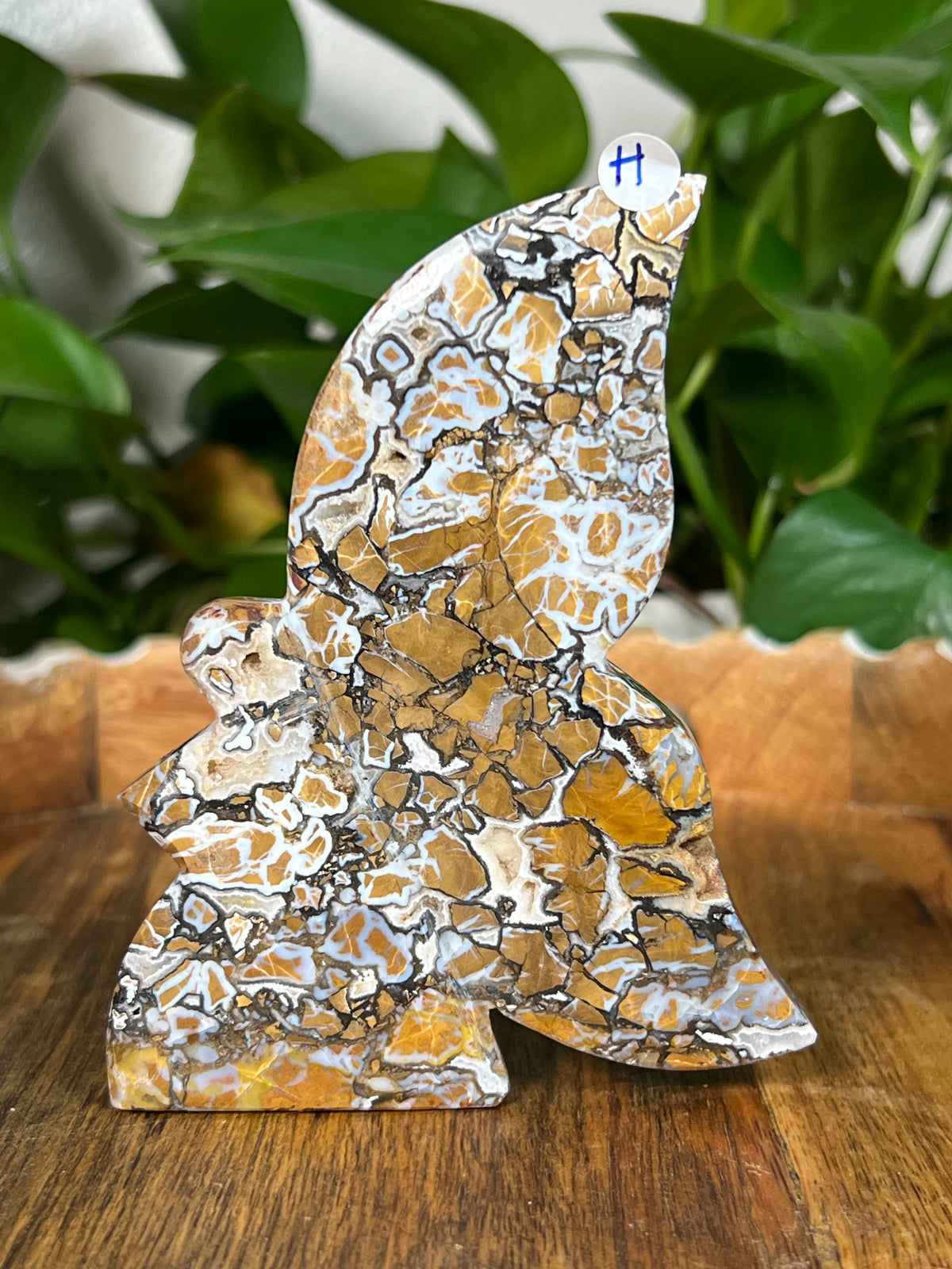 Brecciated Jasper Fairies