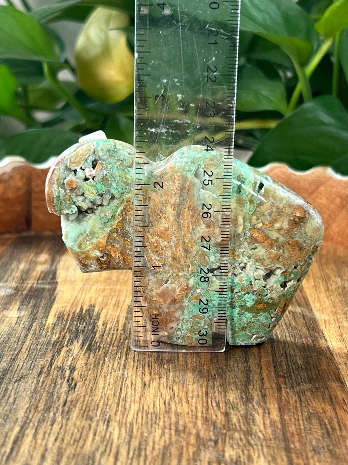 Smithsonite Buffalos