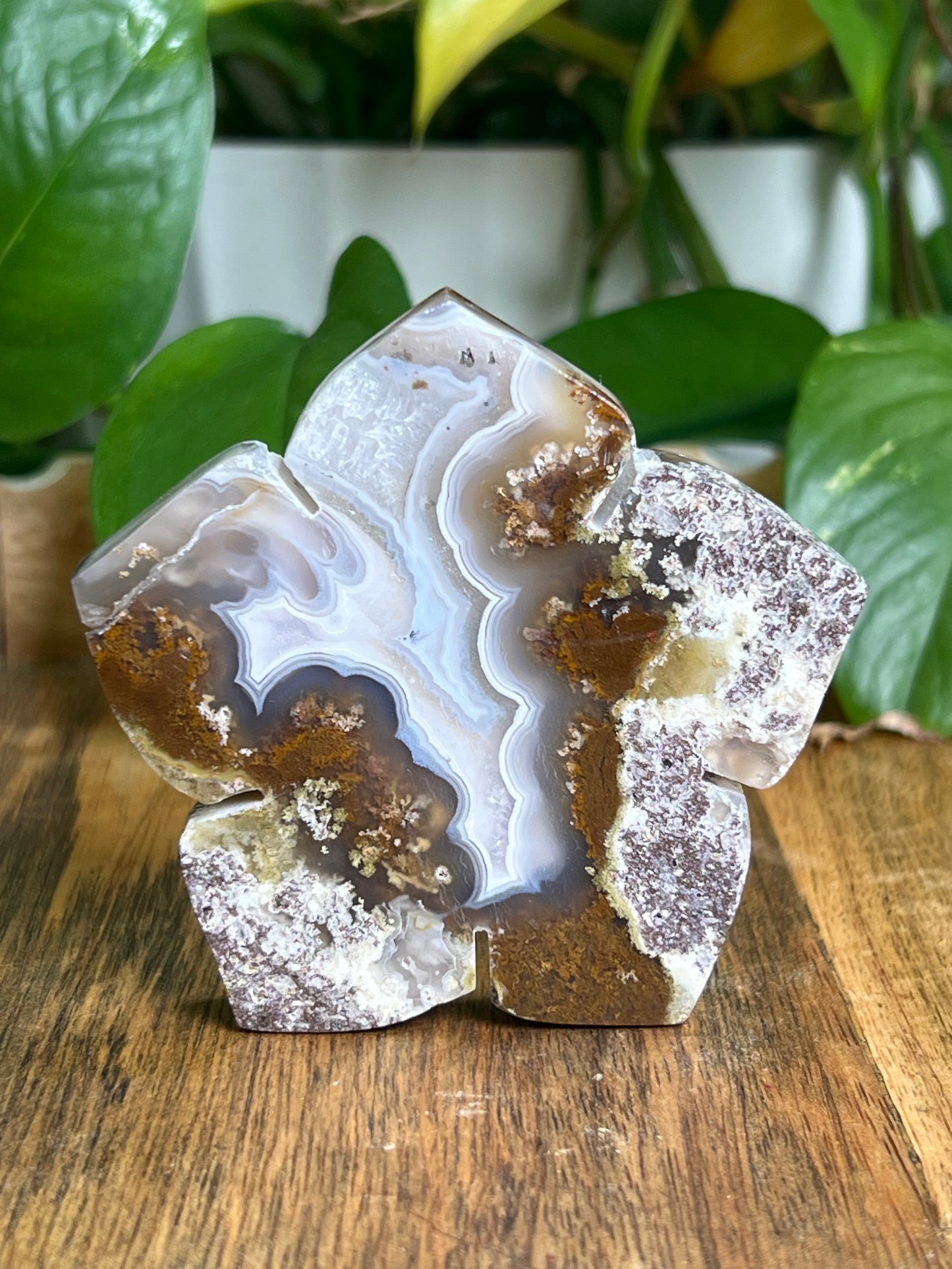 Scenic Moss Agate Flower KA
