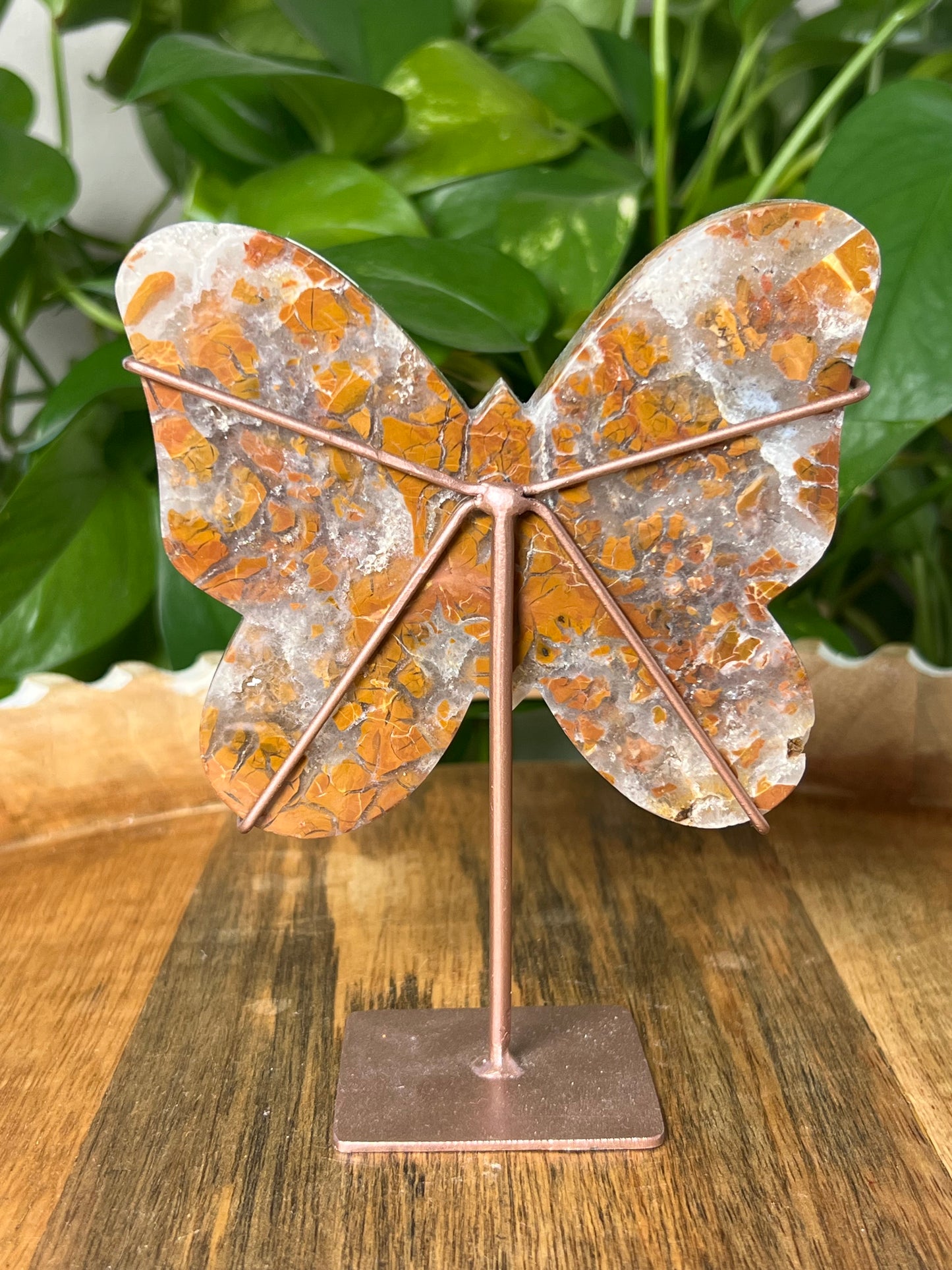 Brecciated Jasper Butterfly