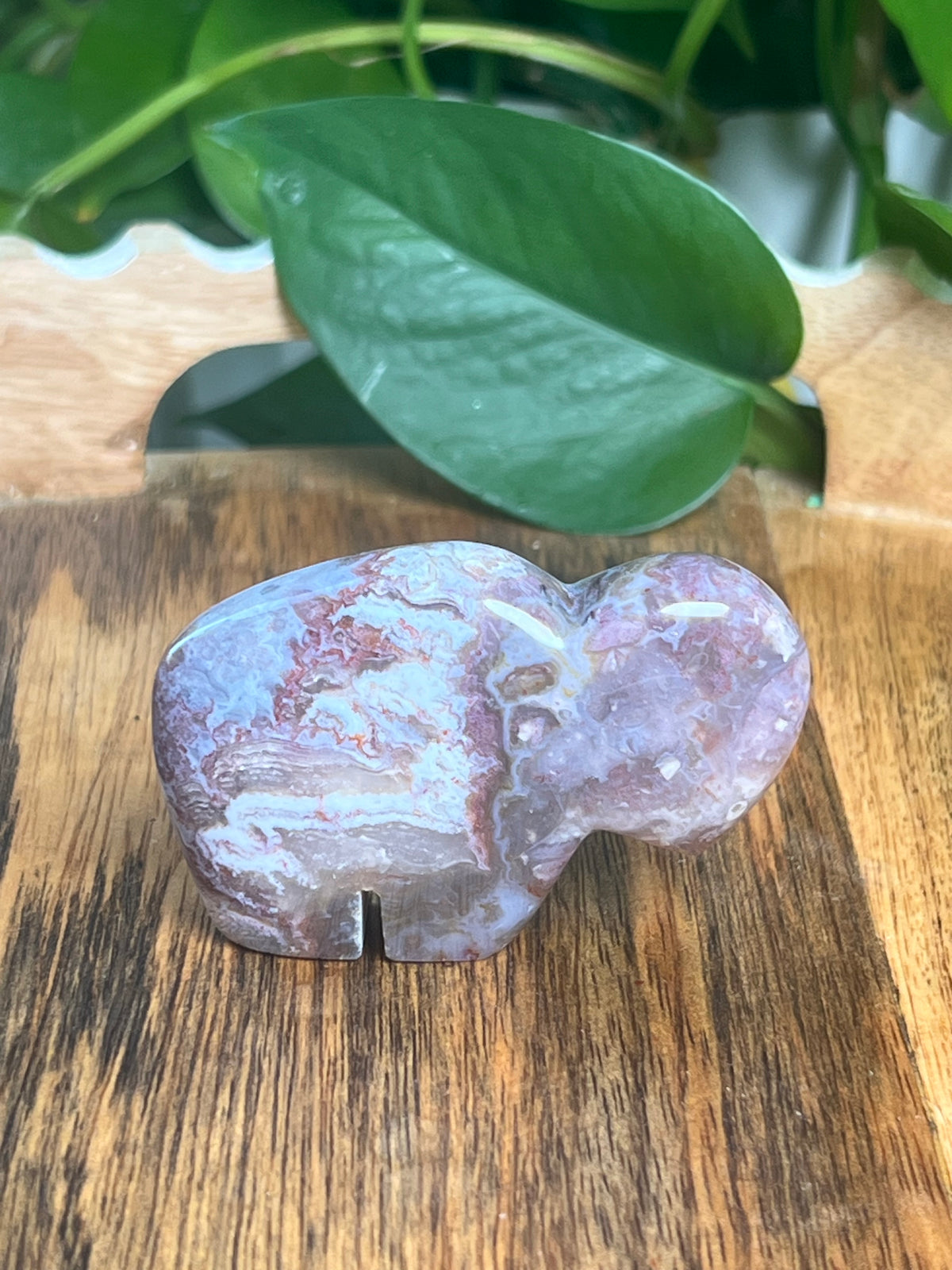 Sumatra Plume Agate Mini Buffalo: Di