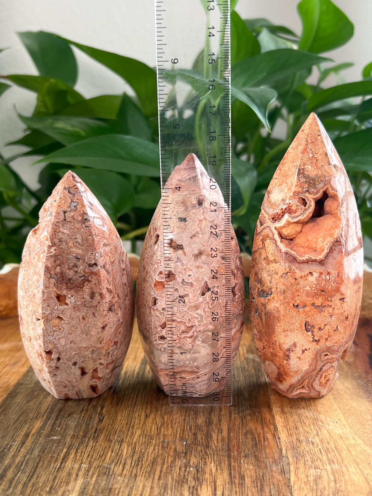Crazy Lace Agate Bullets