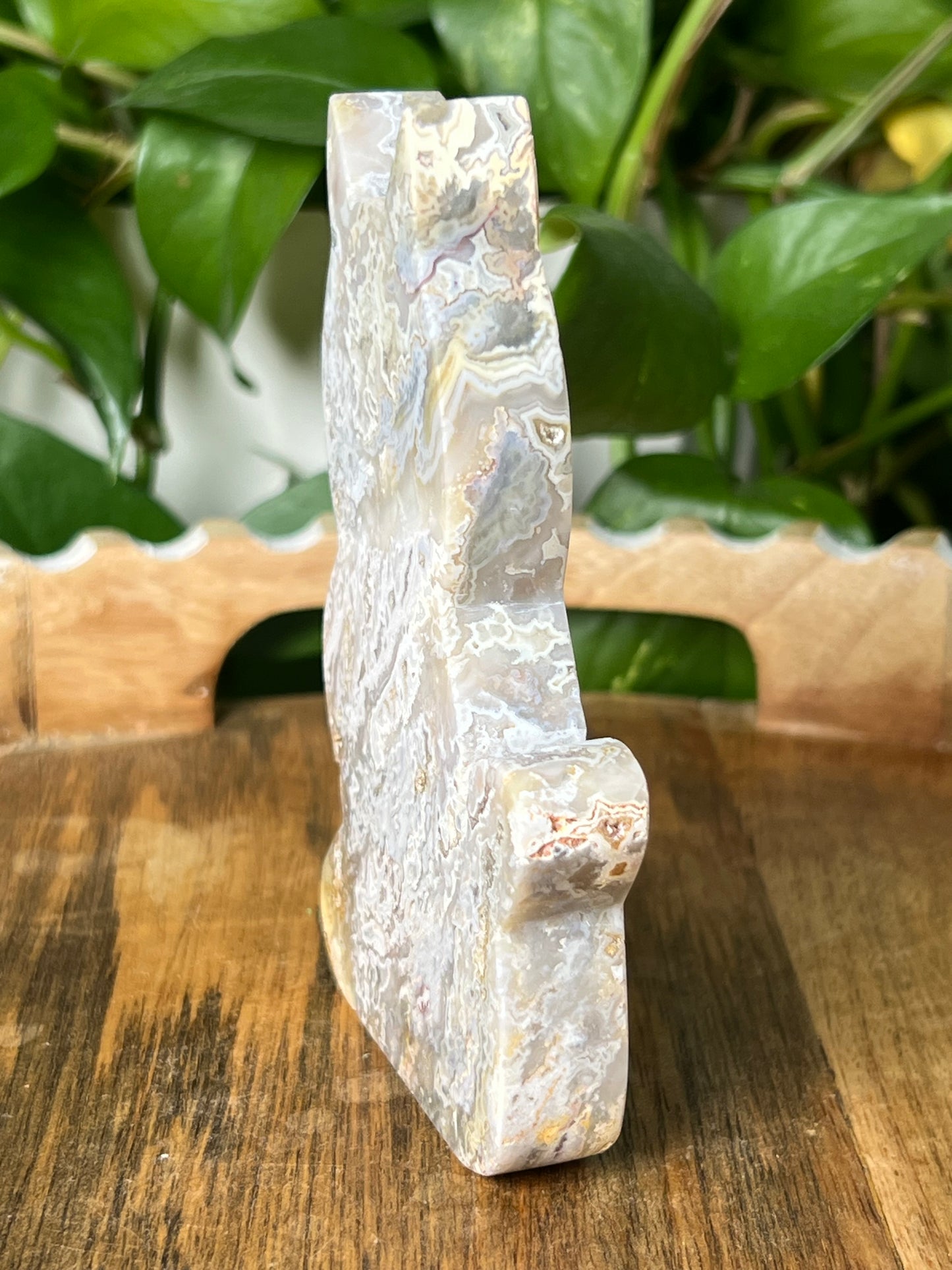 Sumatra Plume Agate Cat