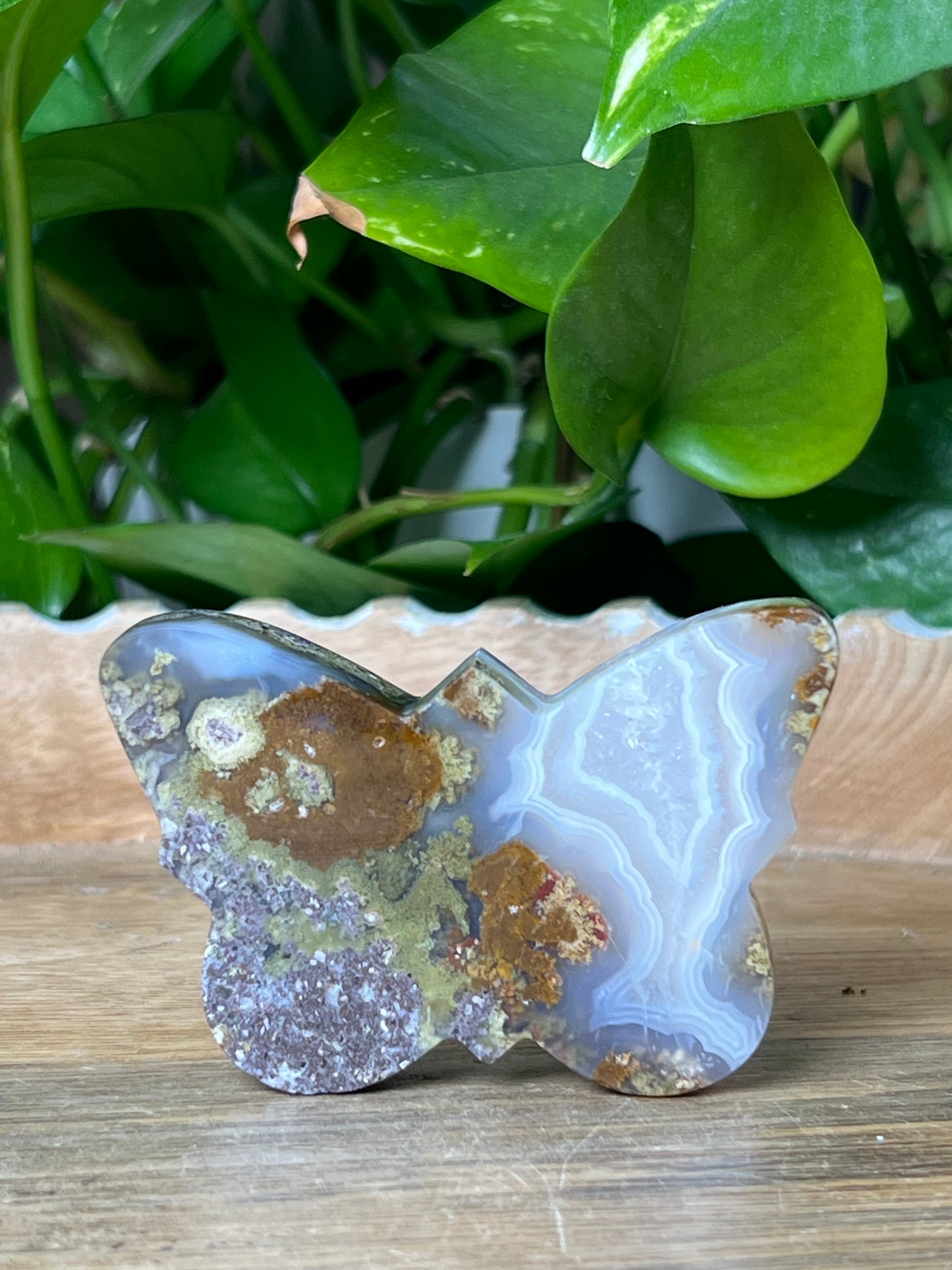Scenic Moss Agate Butterfly