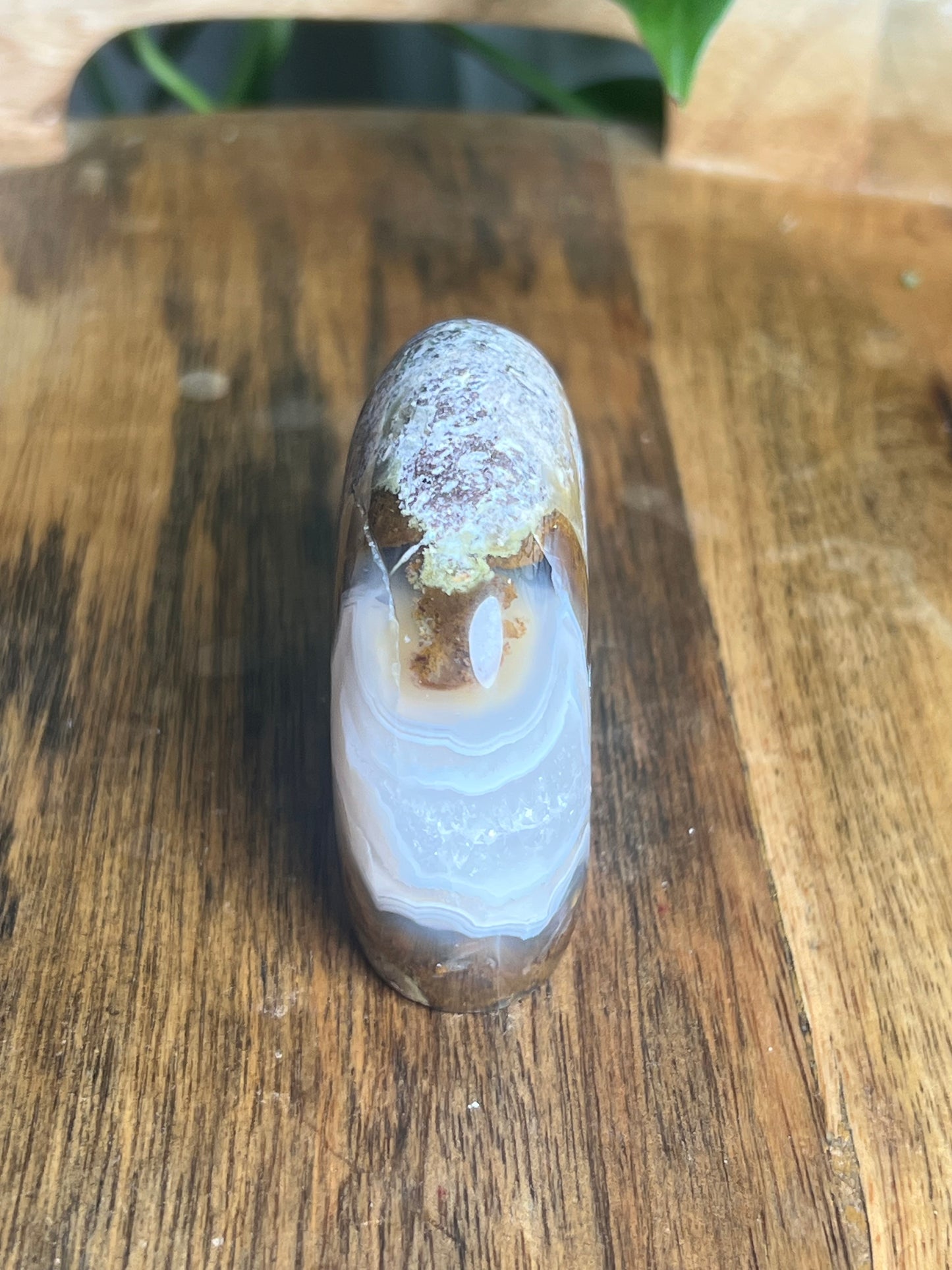 Scenic Moss Agate Bear BK