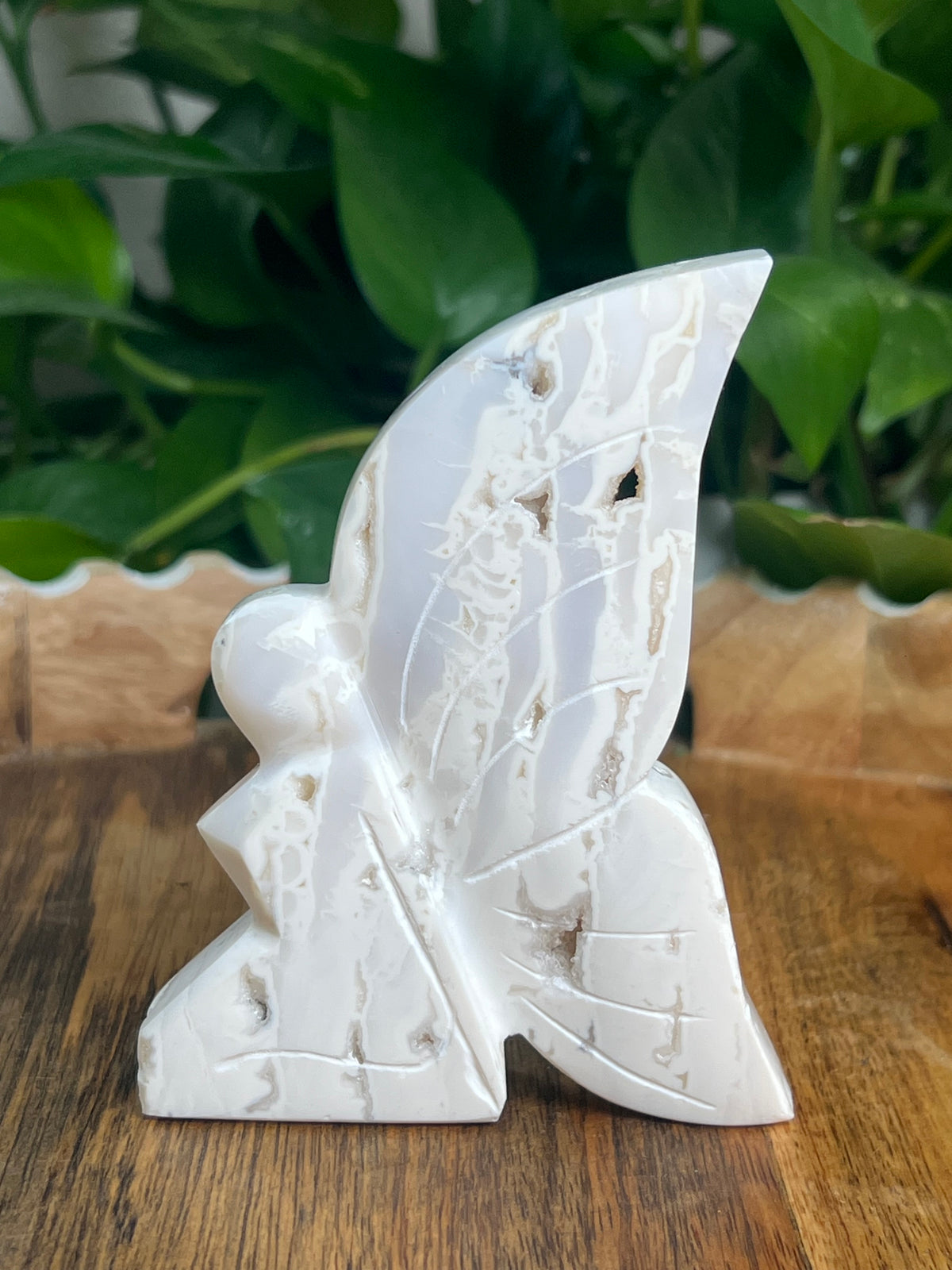White Plume Agate Fairy: VK
