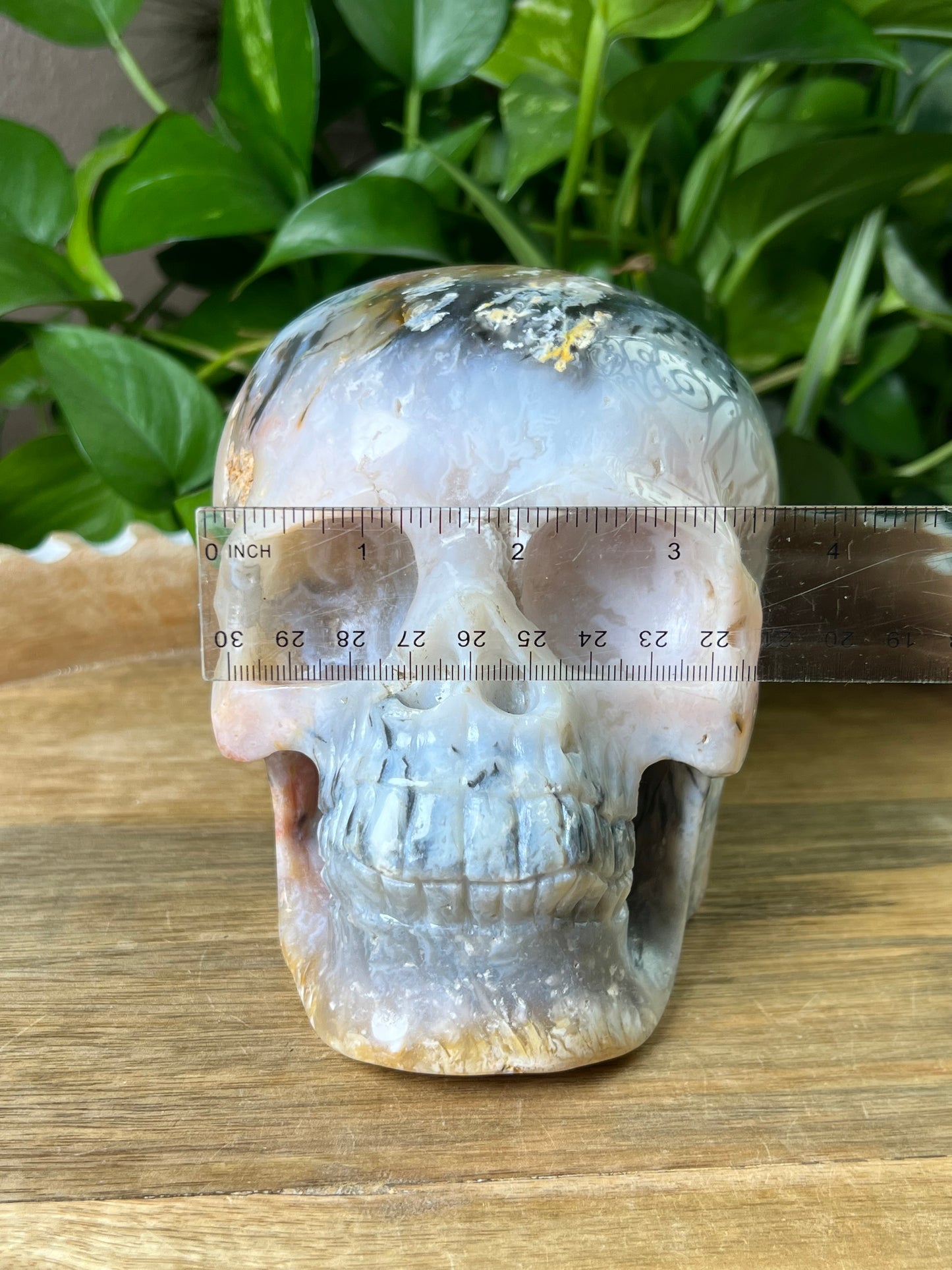 Rainbow Plume Agate Skull