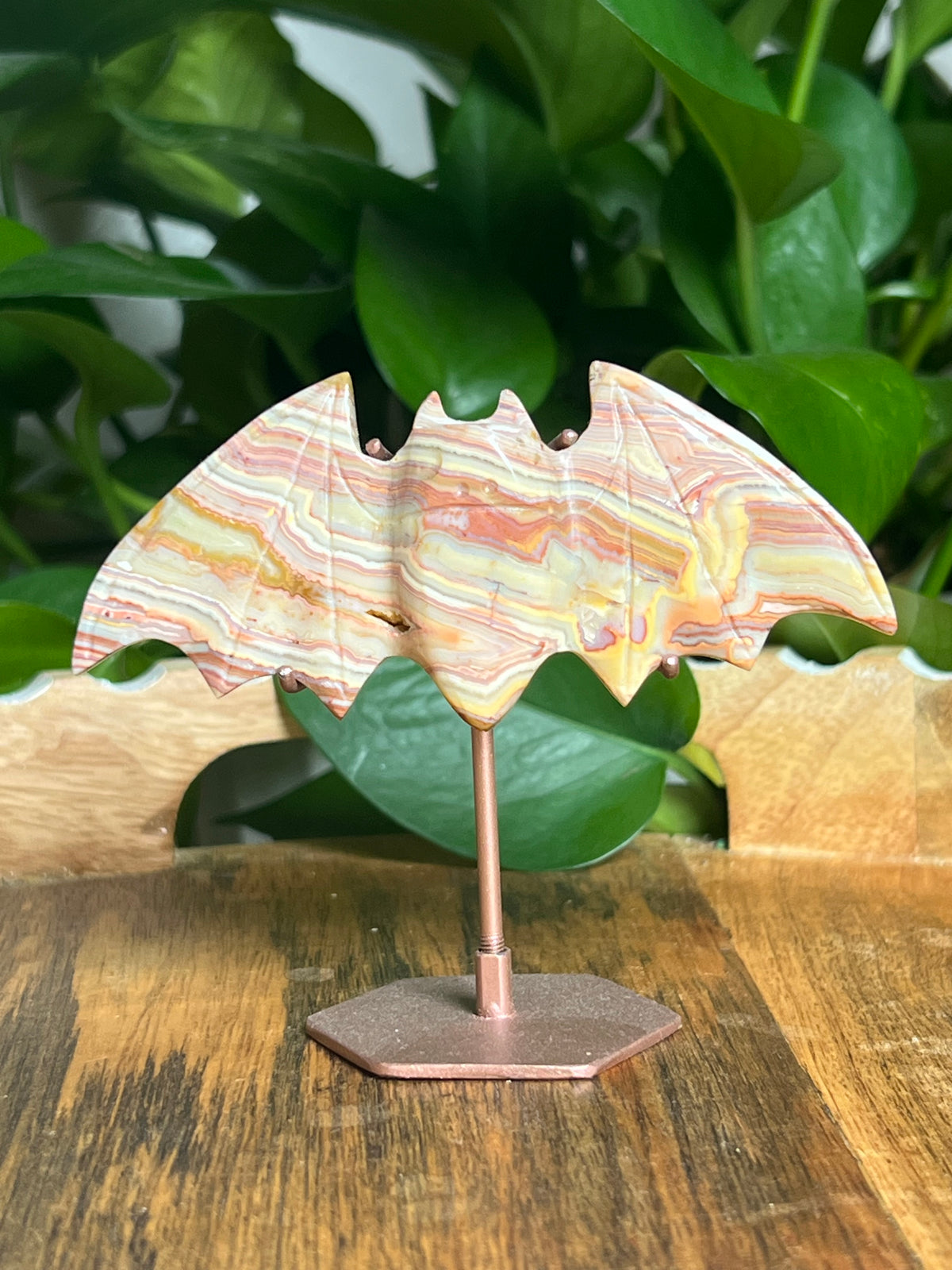 Crazy Lace Agate Bat: D