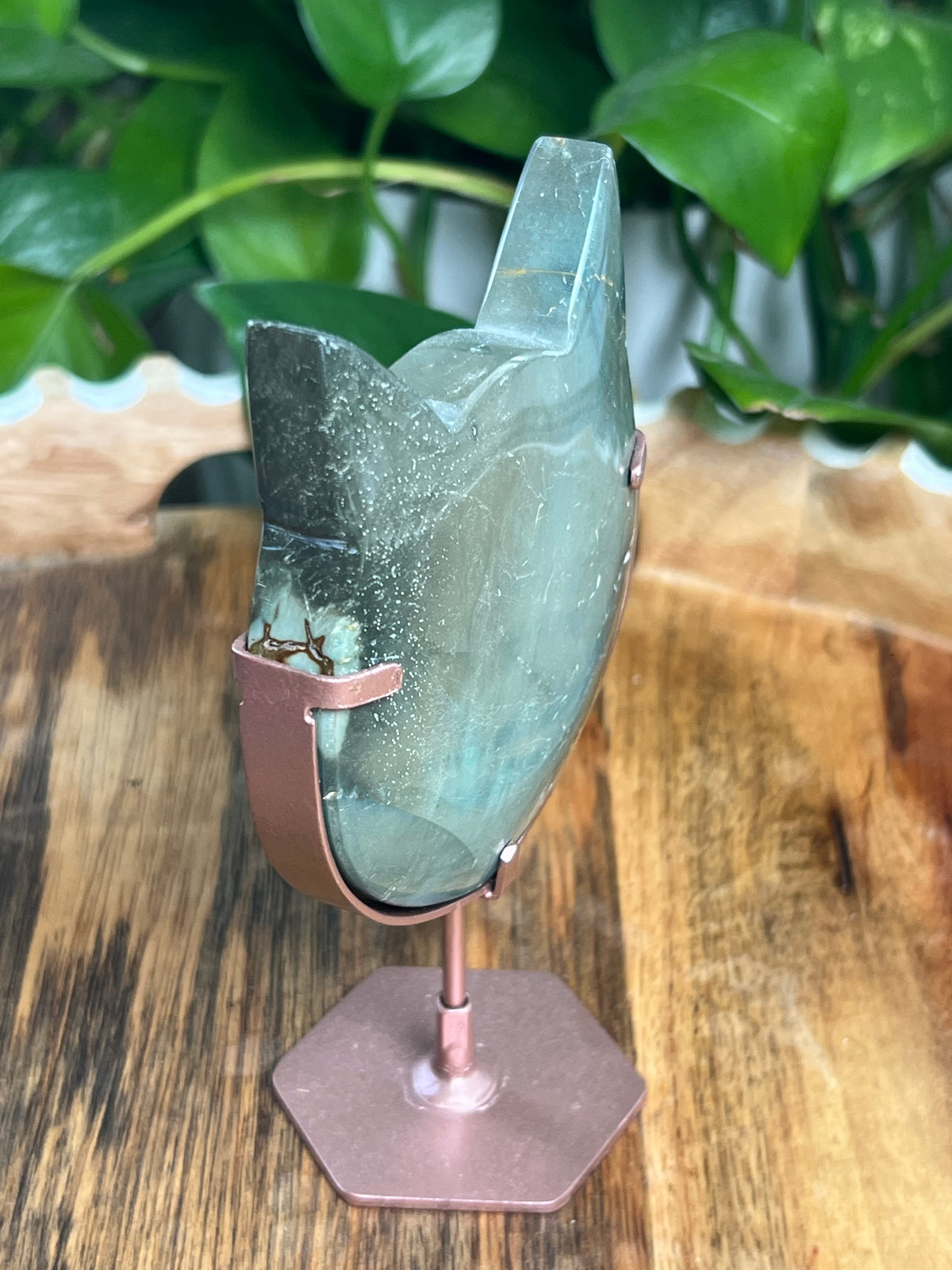 Blue Green Jasper Cat Head: NC