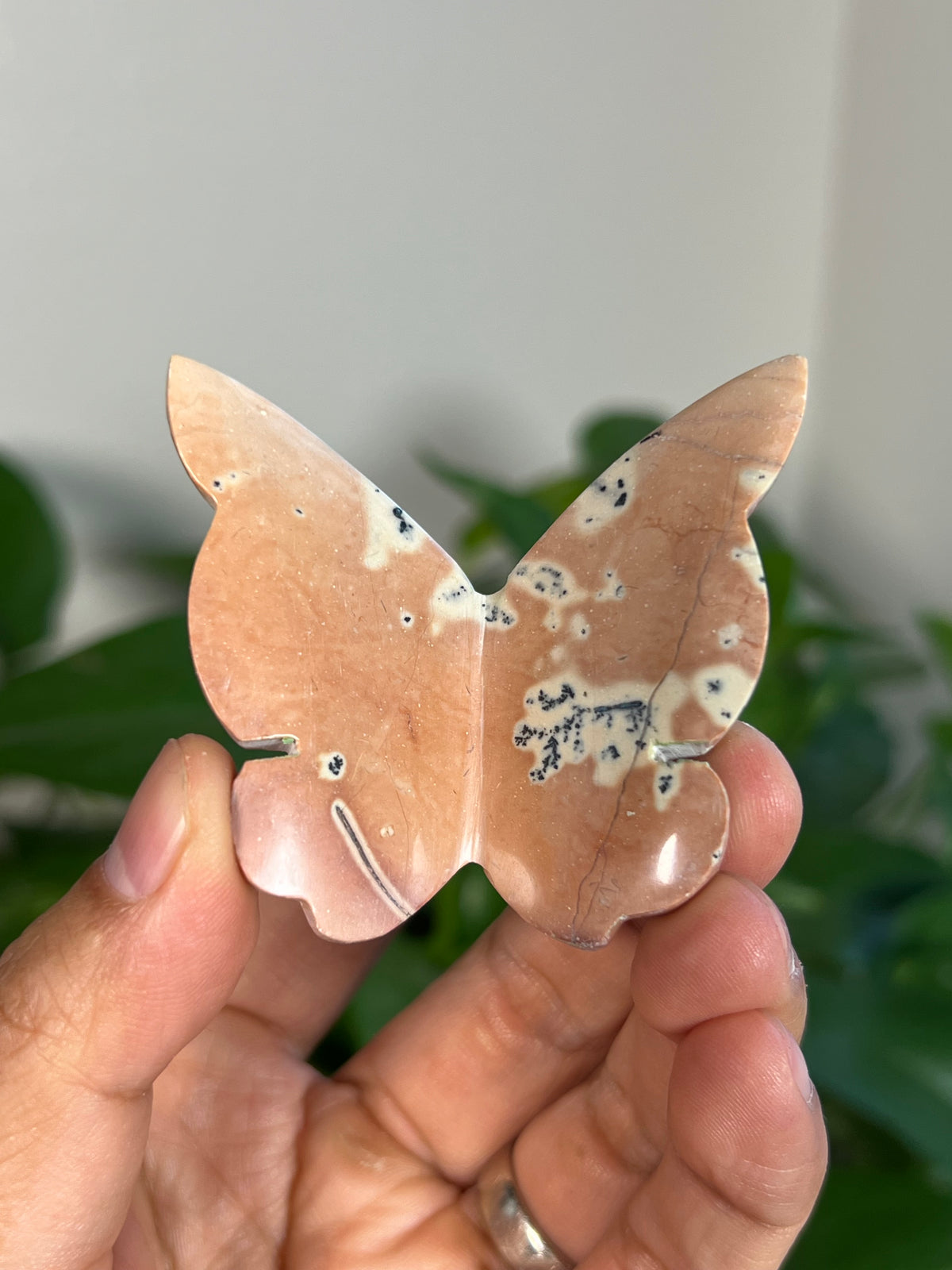 Peachy Pink Dendritic Jasper 3D Butterflies