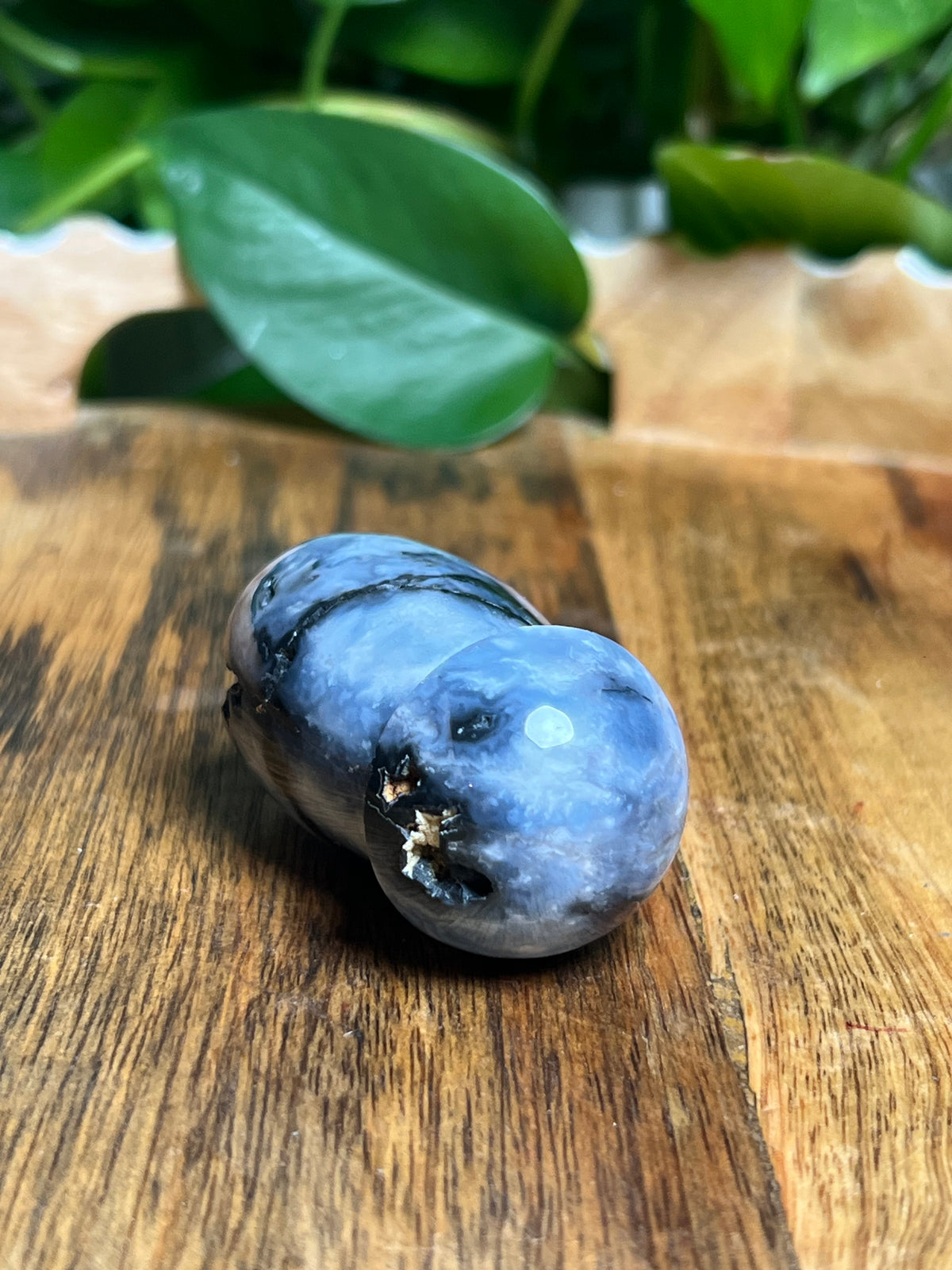 Blue Plume Agate Mushroom: A