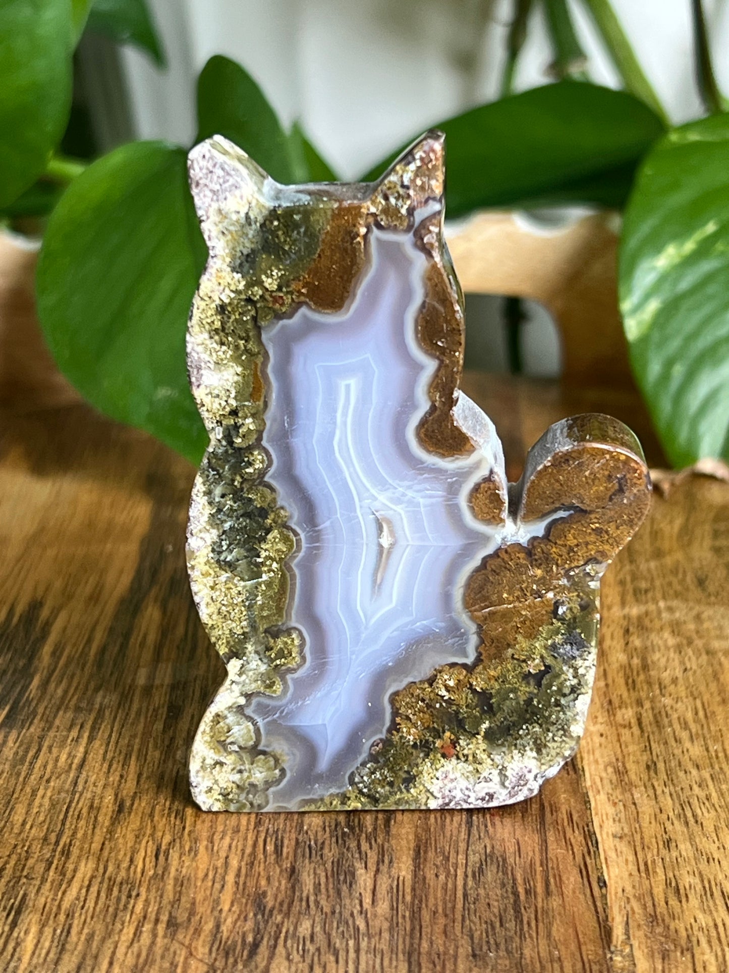 Scenic Moss Agate Cat HK