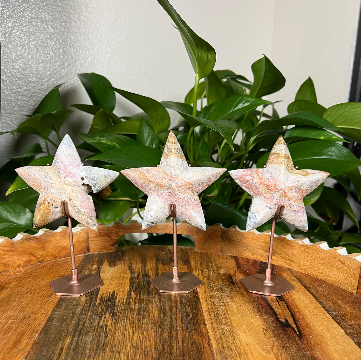 Sea Jasper Stars
