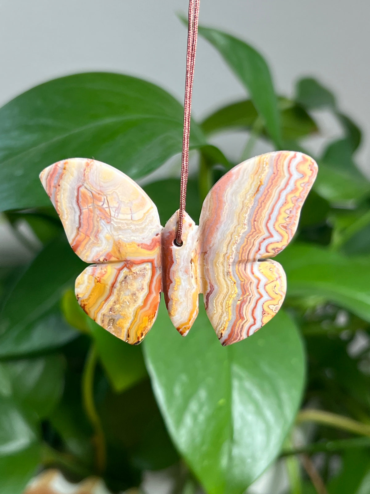 Crazy Lace Agate Ornament Butterfly:  BF