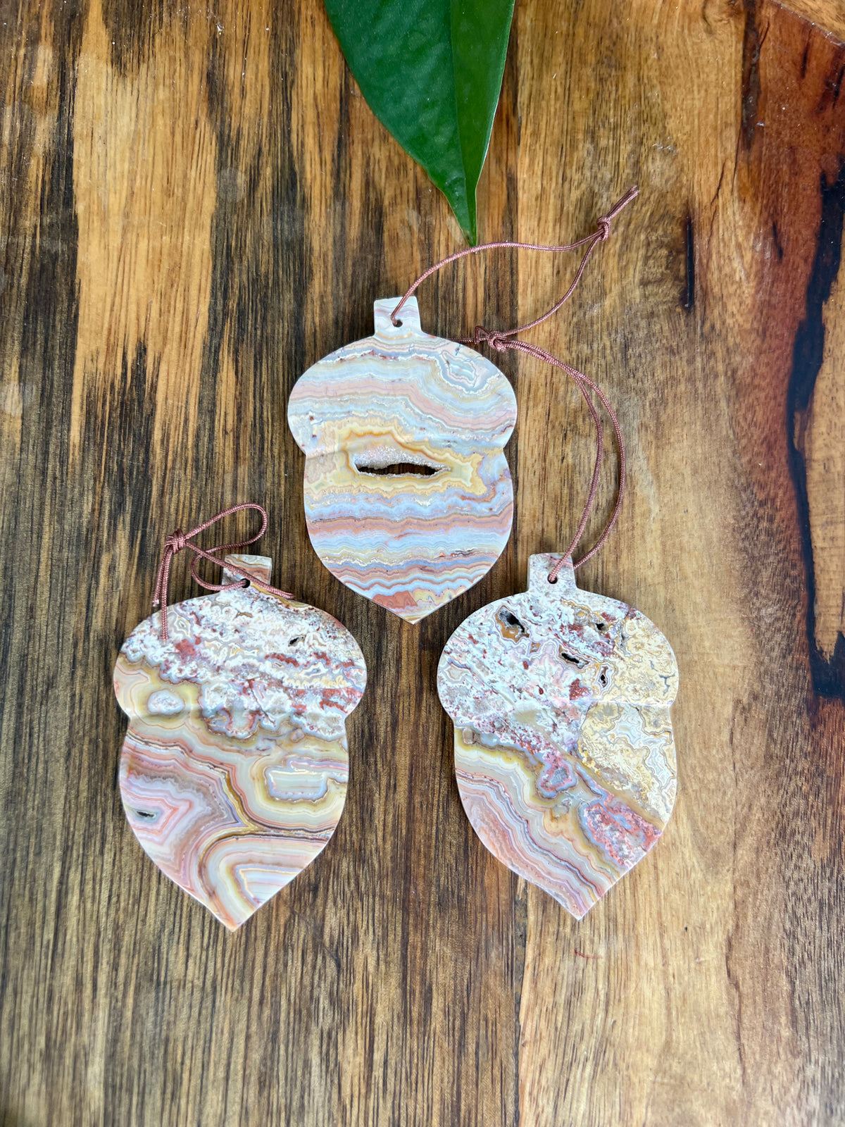 Crazy Lace Agate Acorn Ornaments