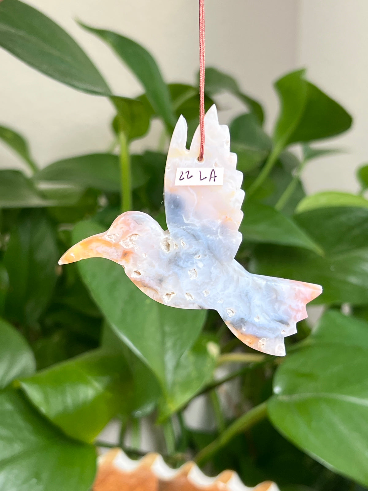 Rainbow Plume Agate Hummingbird: LA